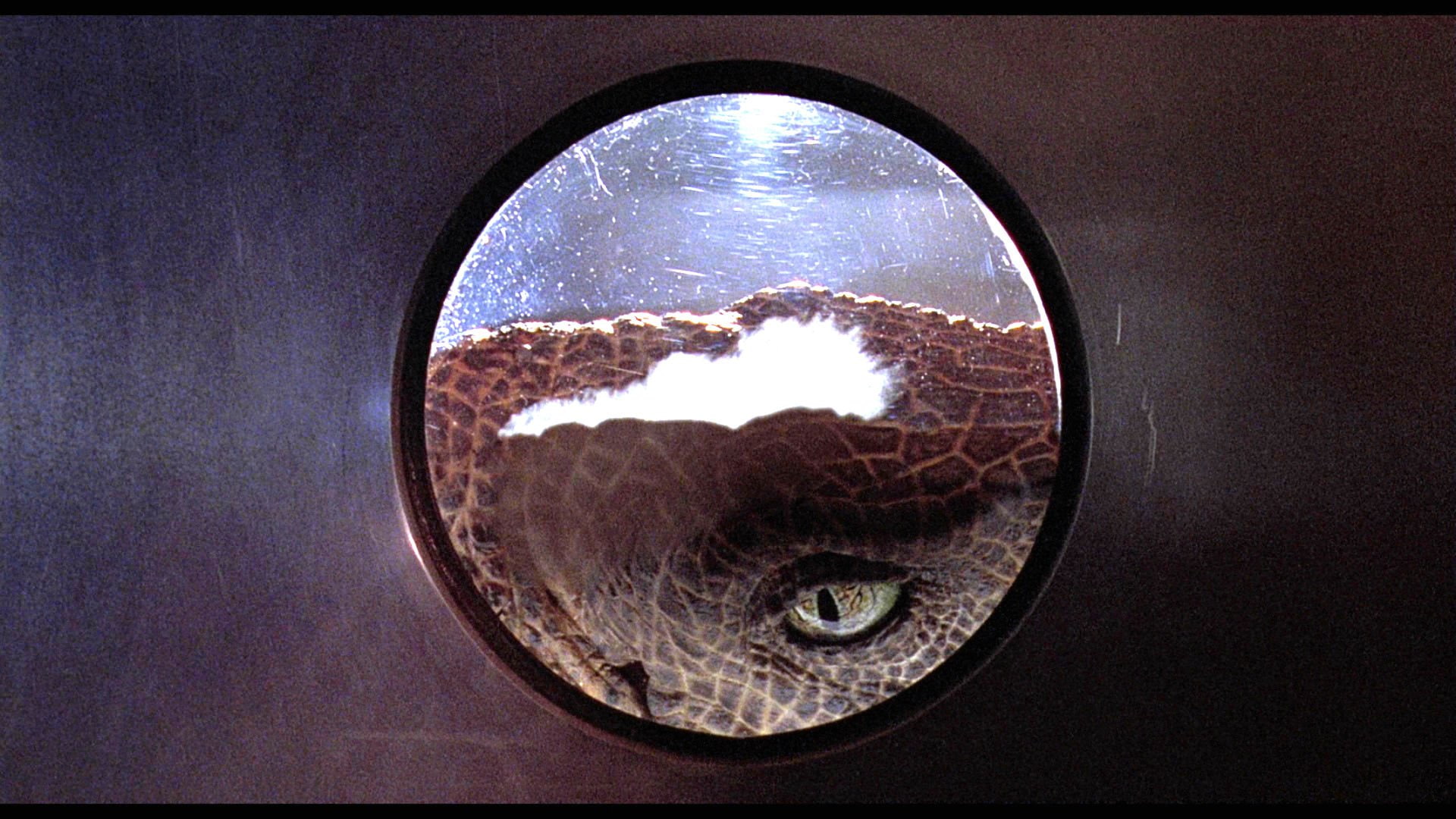 1080P, jurassic, film, dinosaur, adventure, fantasy, park, sci fi, movie, HD Wallpaper
