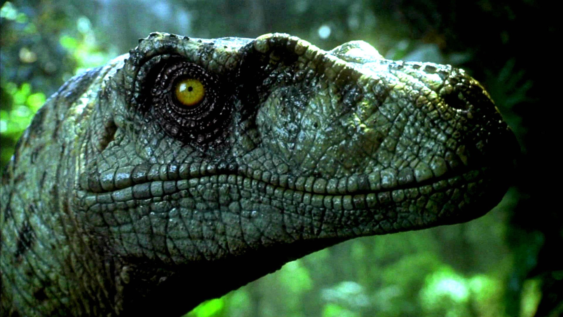 park, jurassic, 1080P, fantasy, adventure, dinosaur, sci fi, movie, film, HD Wallpaper