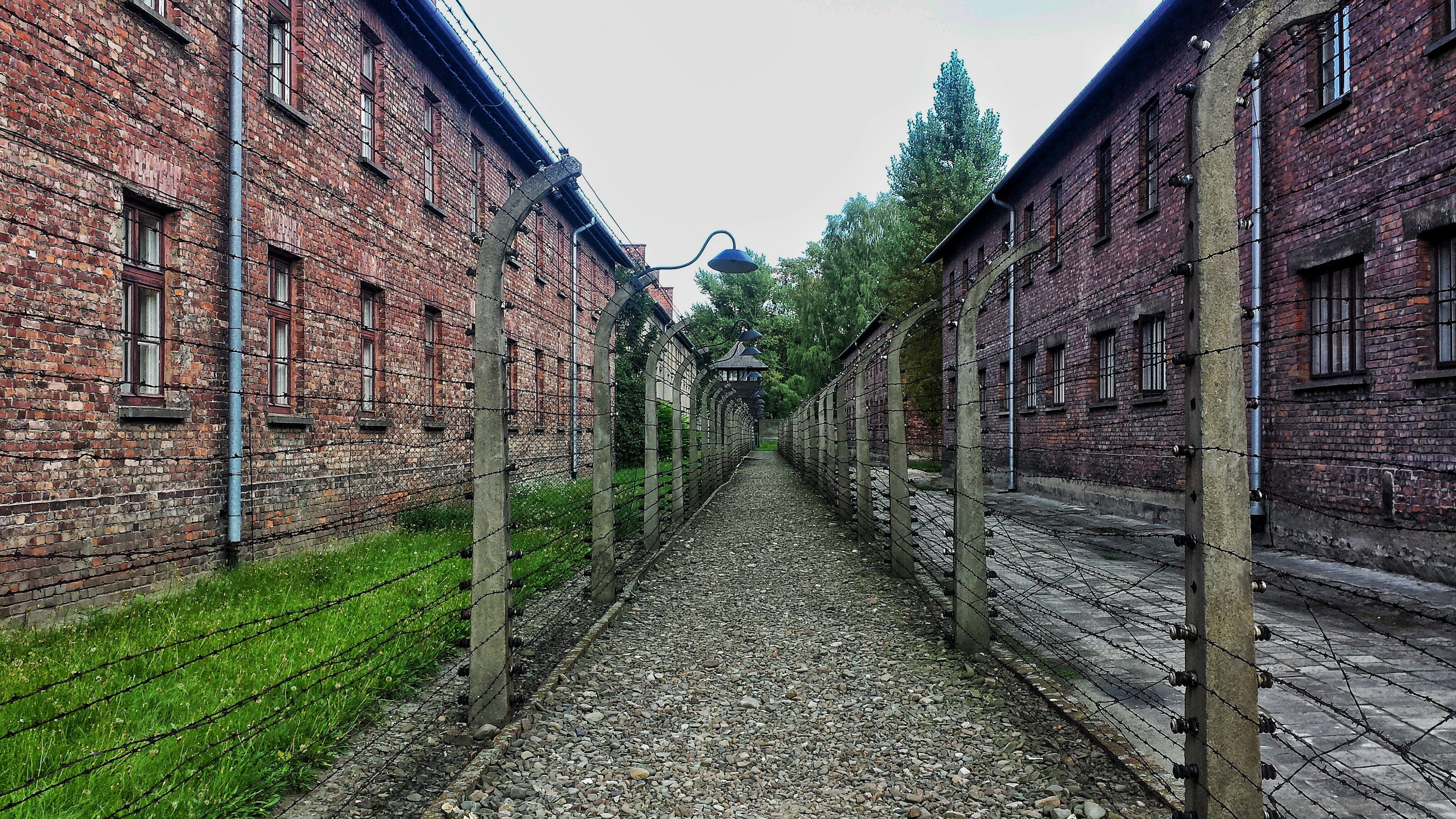 building exterior, day, prison, nazism, outdoors, sadness, world war ii, history, wall - building feature, the holocaust, stone wall, poland, clear sky, HD Wallpaper
