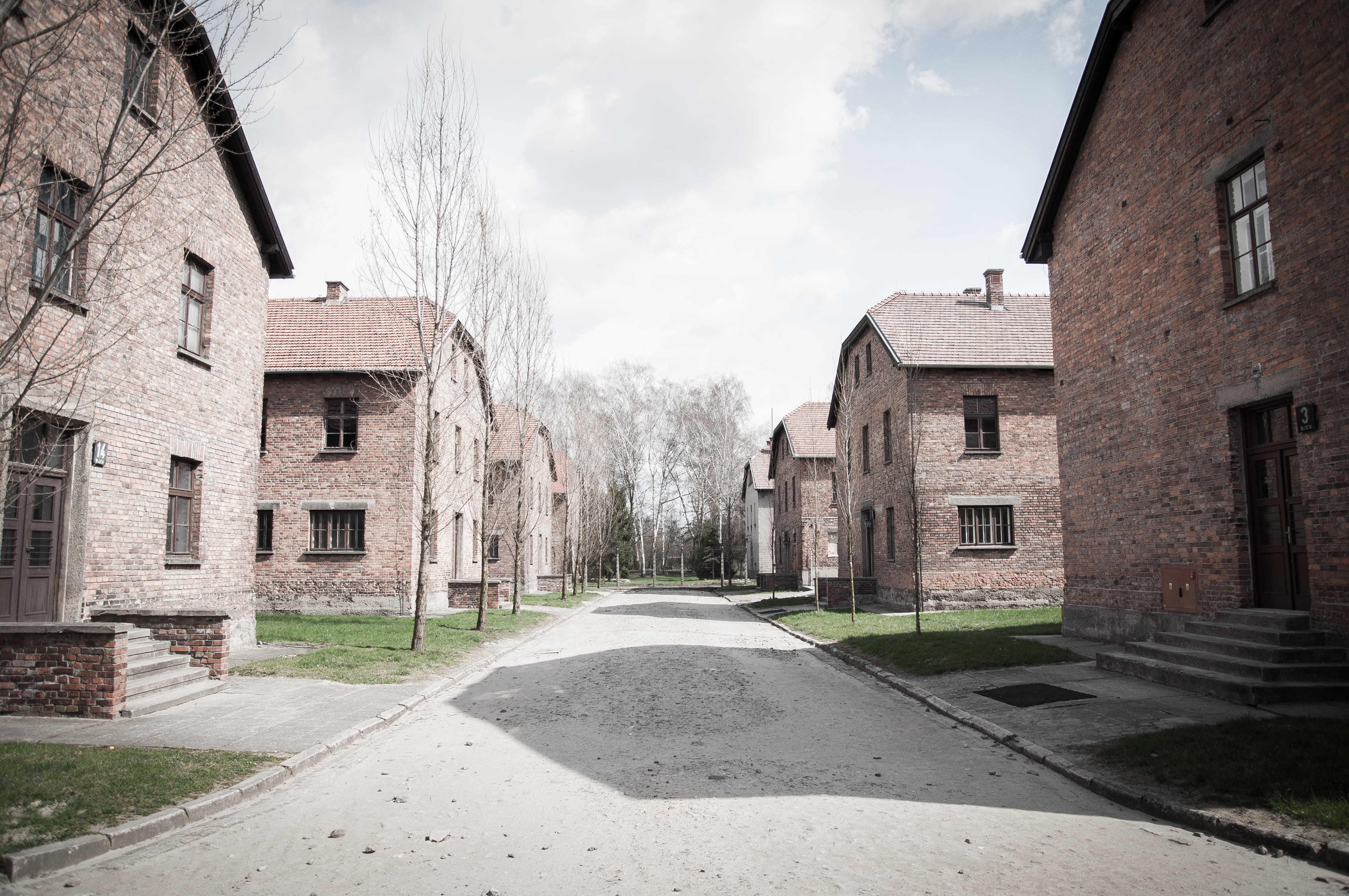 plant, architecture, camp, road, built structure, poland, day, concentration, house, europe, jewish, world, barbed, street, city, outdoors, no people, holocaust, HD Wallpaper