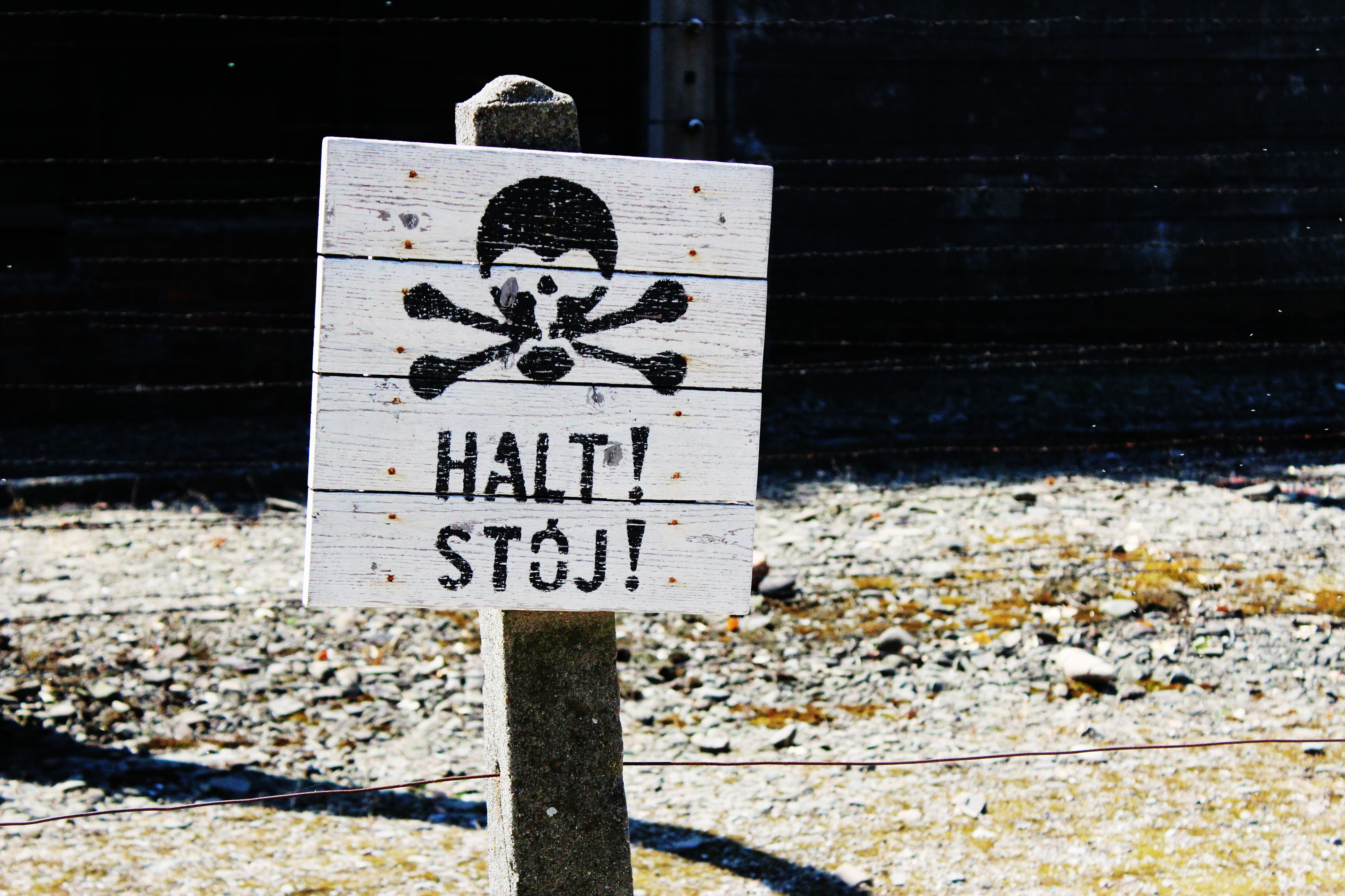 information, sign, representation, poland, script, halt, soil, text, wood - material, no people, prison, skull, auschwitz, information sign, day, guidance, HD Wallpaper