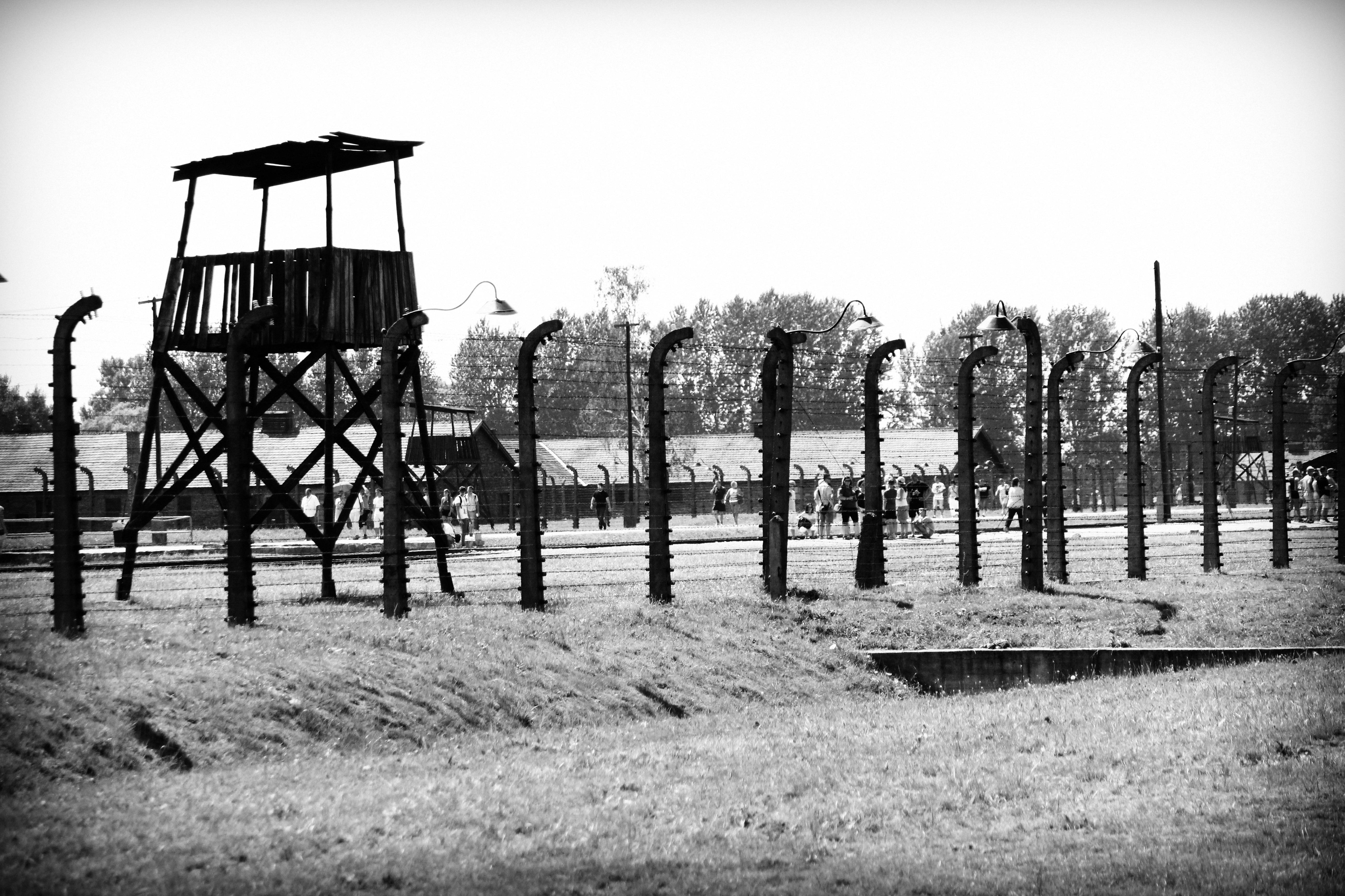 tranquility, near, wooden, nature, architecture, day, nazism, birkenau, poland, fence, 5K, jews, old, environment, obsolete, no people, landscape, black And White, HD Wallpaper