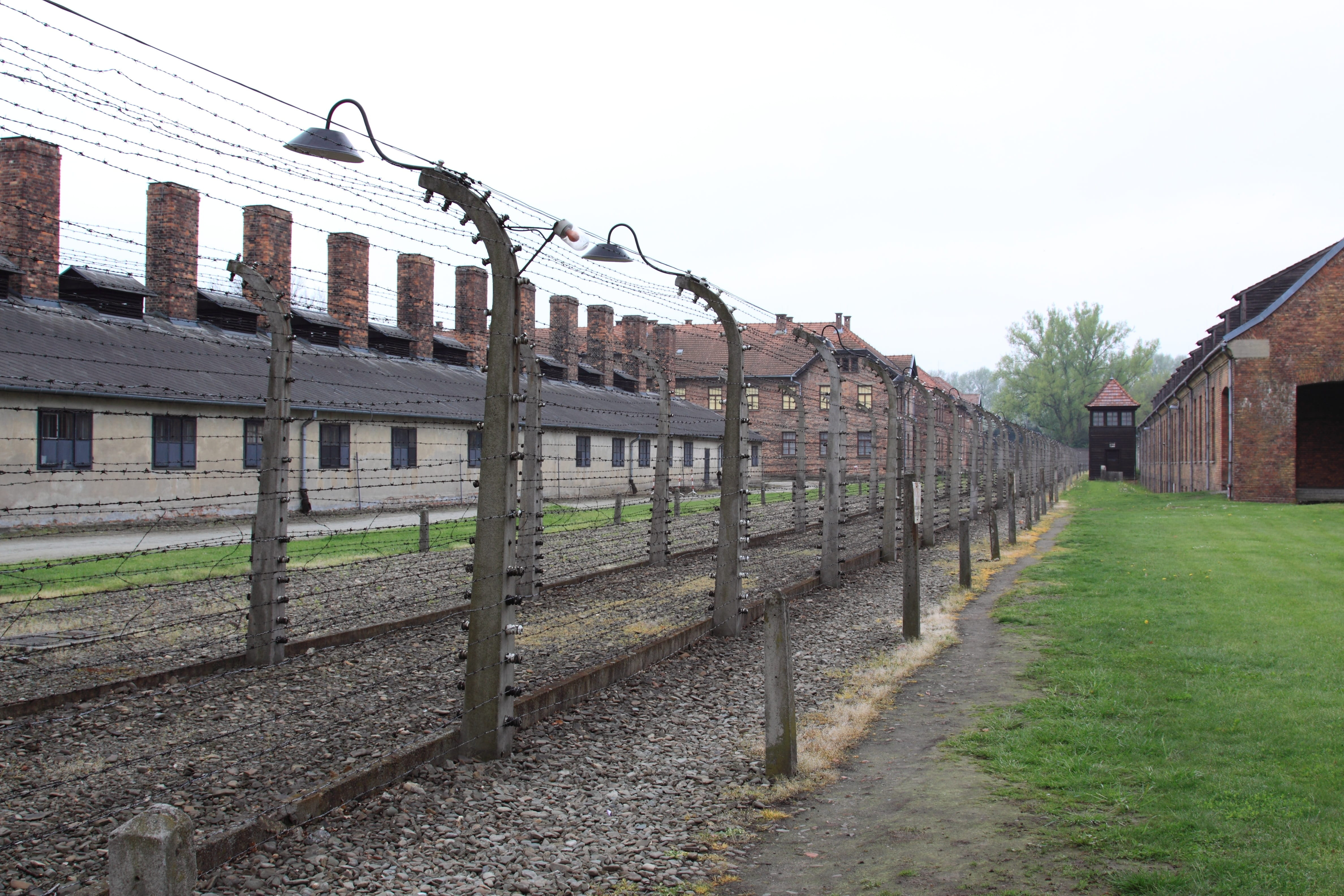 clear sky, built structure, no people, Auschwitz, Poland, house, old, plant, the way forward, 4K, outdoors, Fence, sky, grass, abandoned, architecture, HD Wallpaper