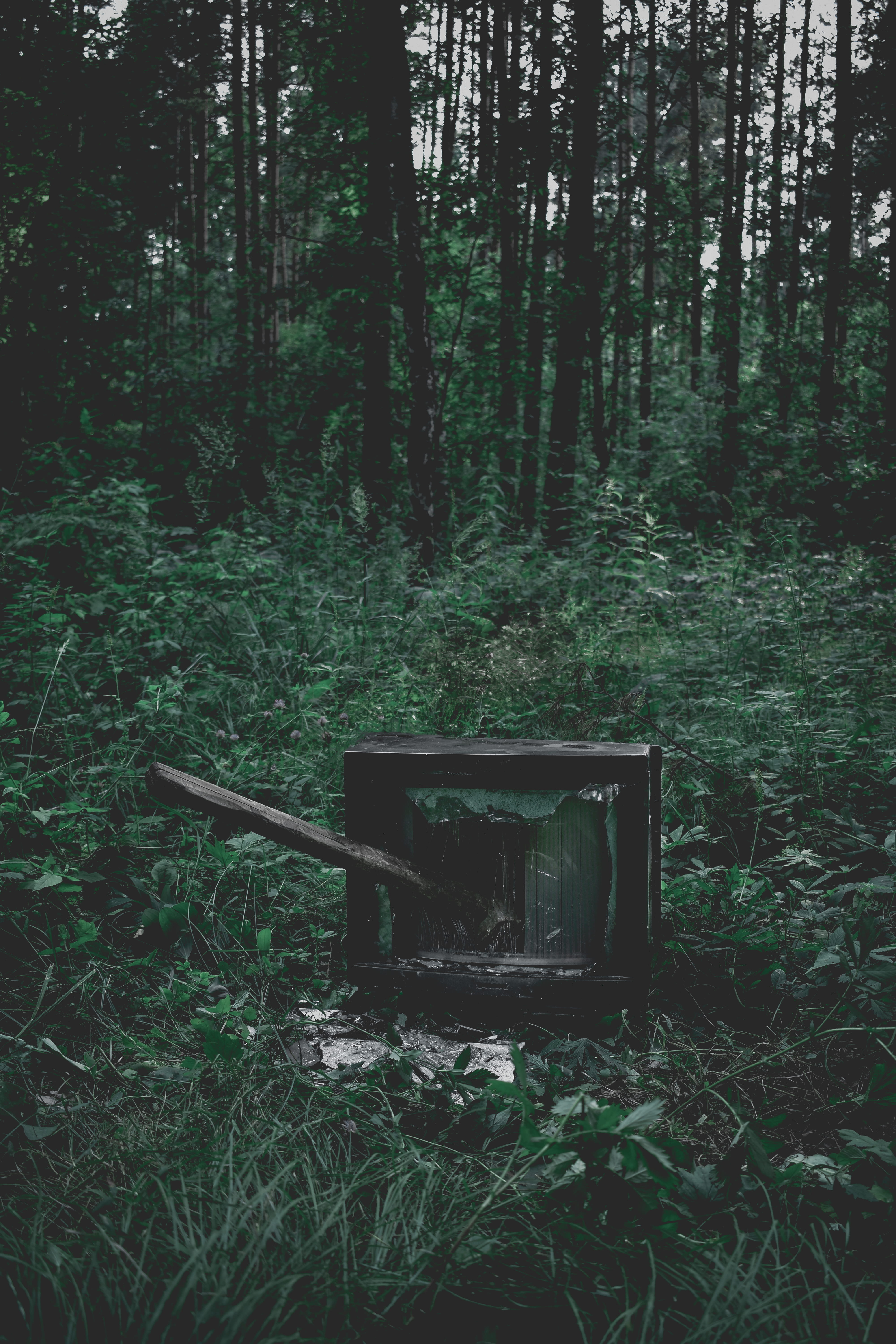 sledgehammer, non-urban scene, old, dark forest, forest, green color, screen, woodland, seat, day, television, tv, aqua green, hammer, tree, field, nature, Phone HD Wallpaper