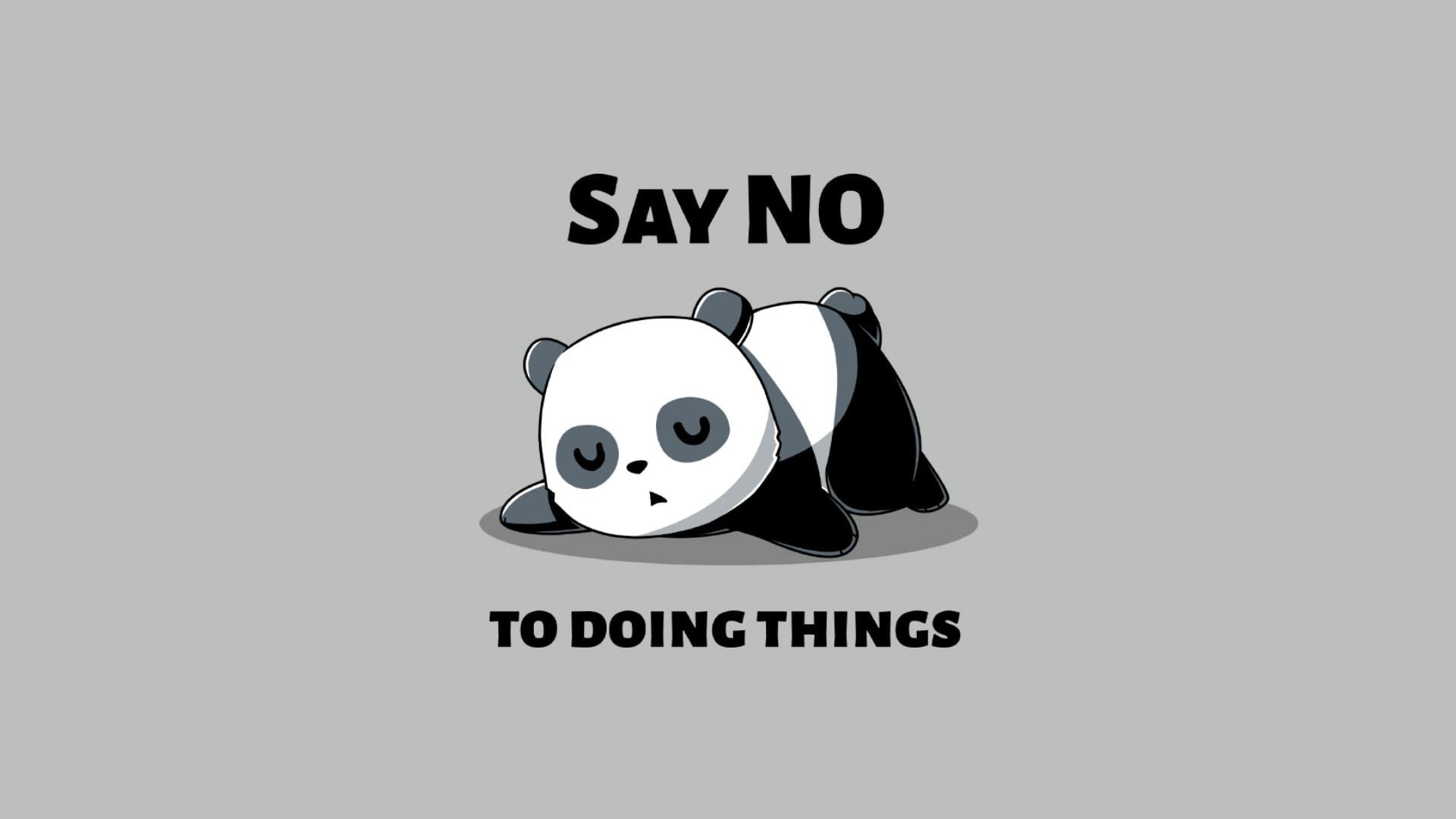 simple background, humor, panda, simple, 1080P, TeeTurtle, HD Wallpaper