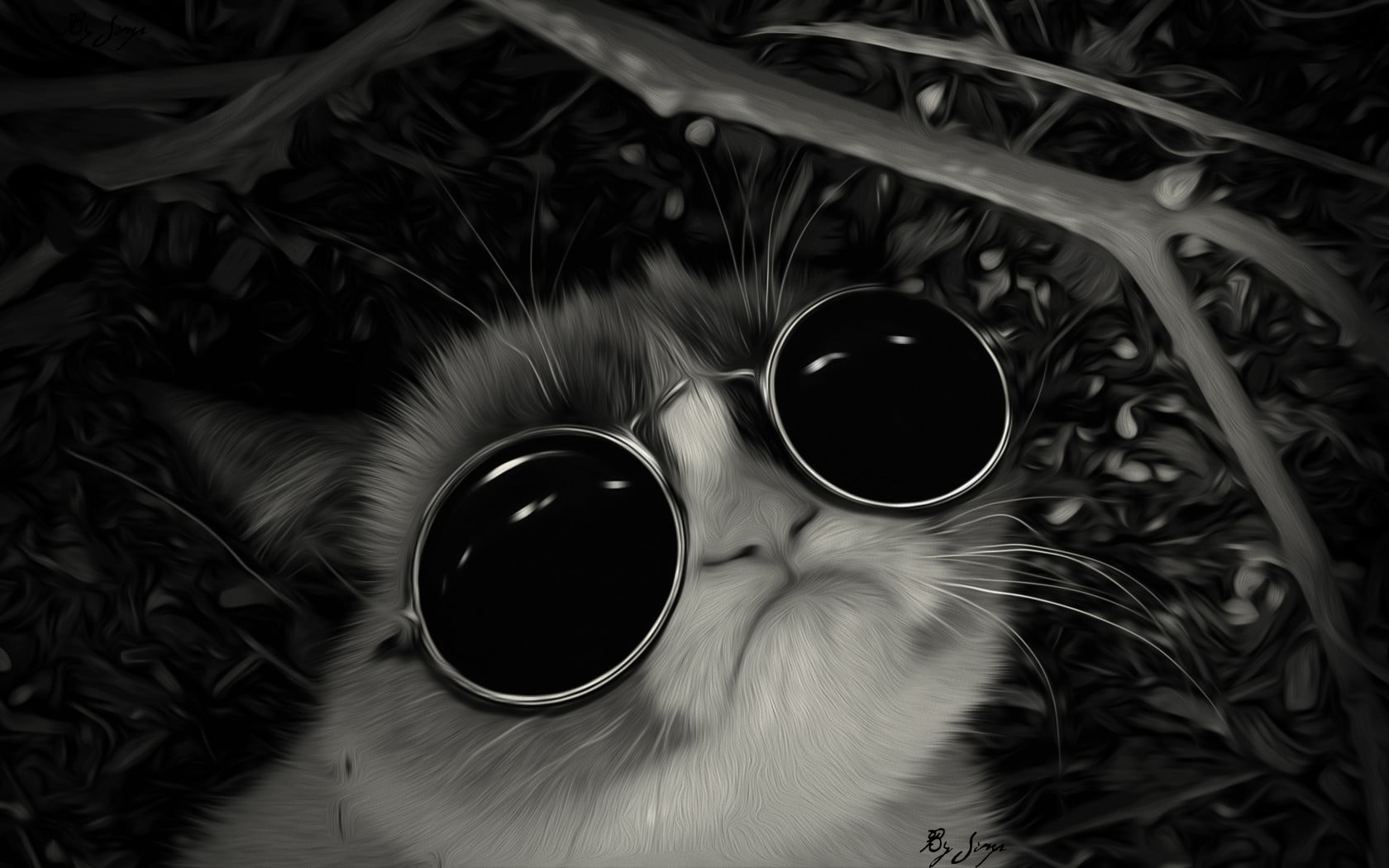 pets, animal, mammal, coffee, glasses, animal themes, 720P, close-up, food and drink, Grumpy Cat, coffee - drink, domestic animals, vertebrate, domestic, HD Wallpaper