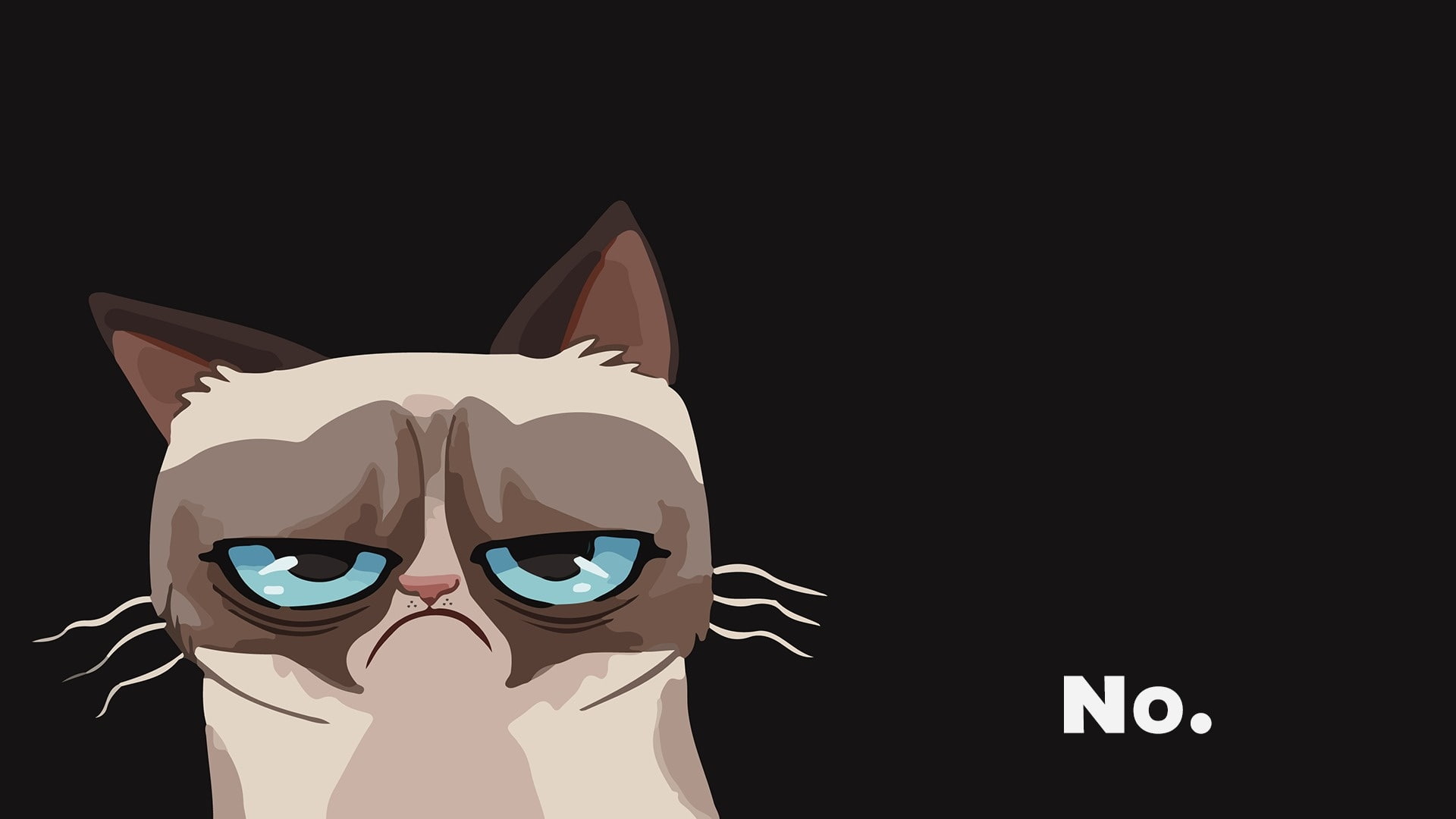 grumpy, 1080P, cat, HD Wallpaper