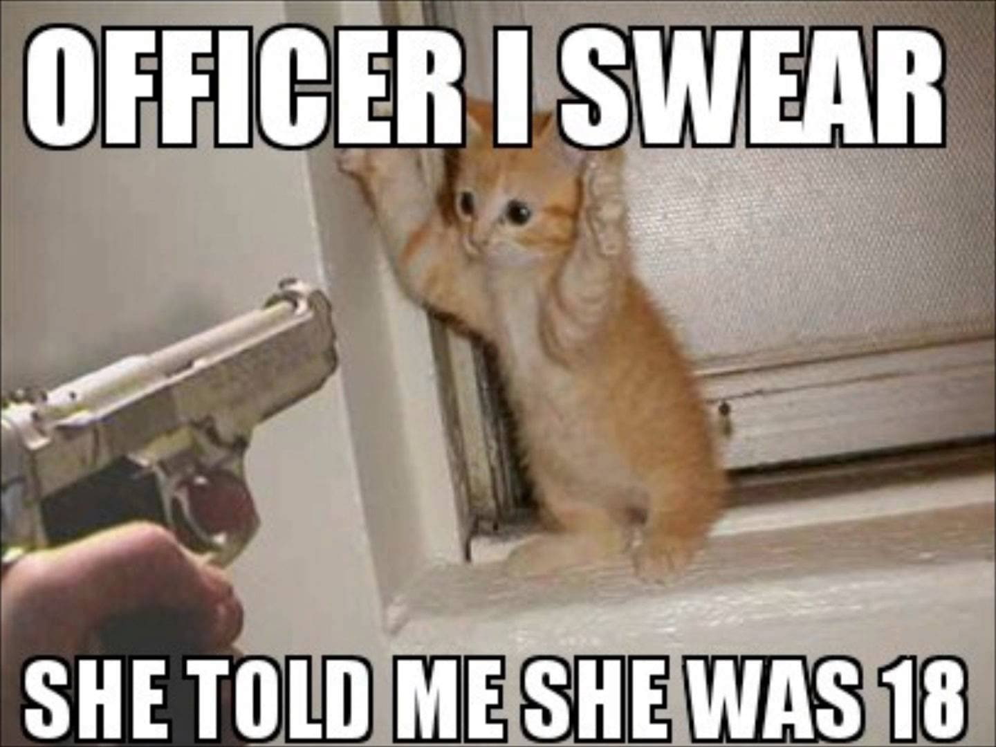 humor, western script, 43, grumpy, sign, people, mammal, 720P, law, close-up, hand, text, government, communication, aggression, police force, indoors, HD Wallpaper