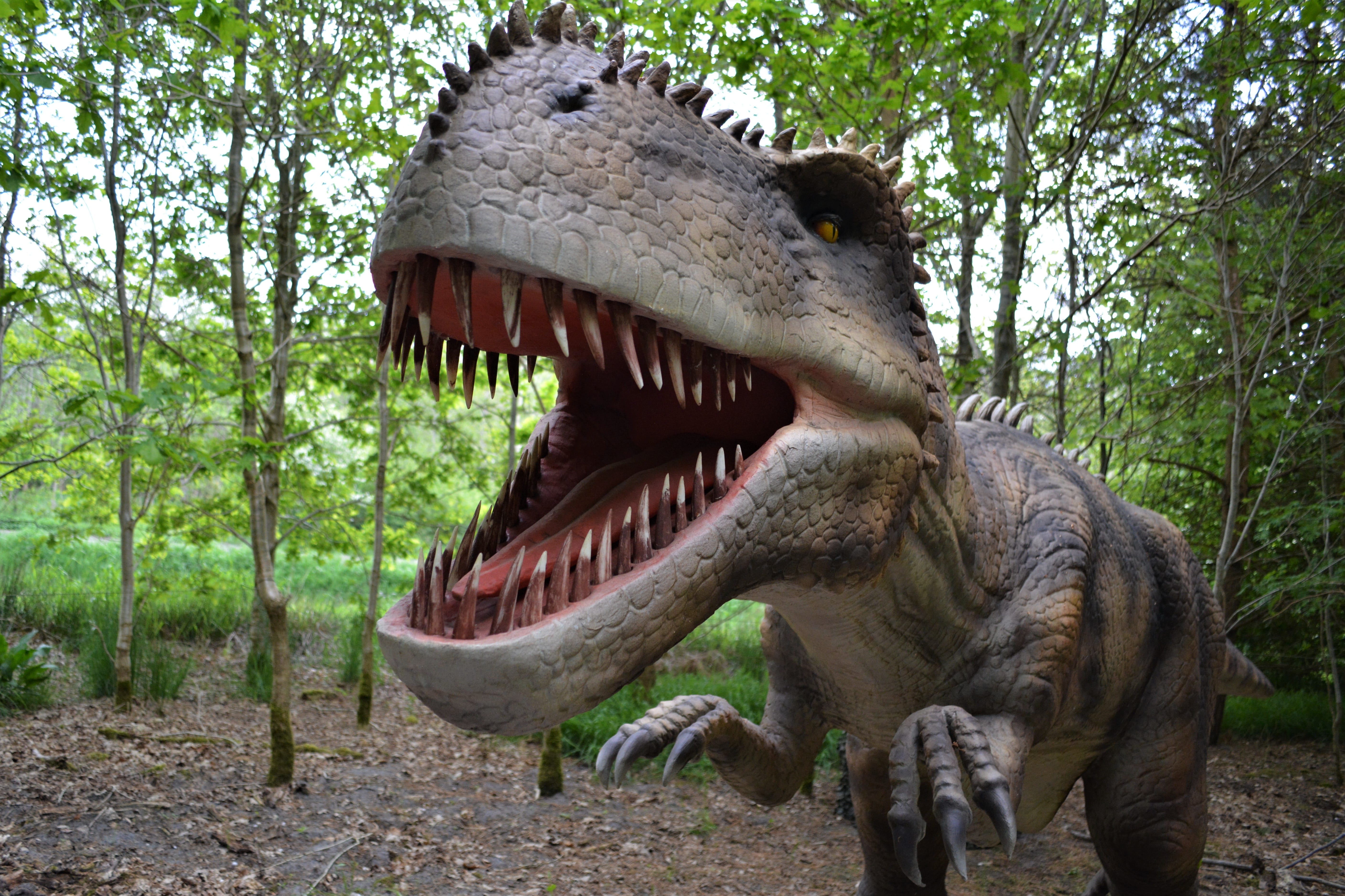 forest, dino-park, no people, prehistoric times, animal wildlife, one animal, predator, animals in the wild, animal head, tree, netherlands, reptile, holland, HD Wallpaper