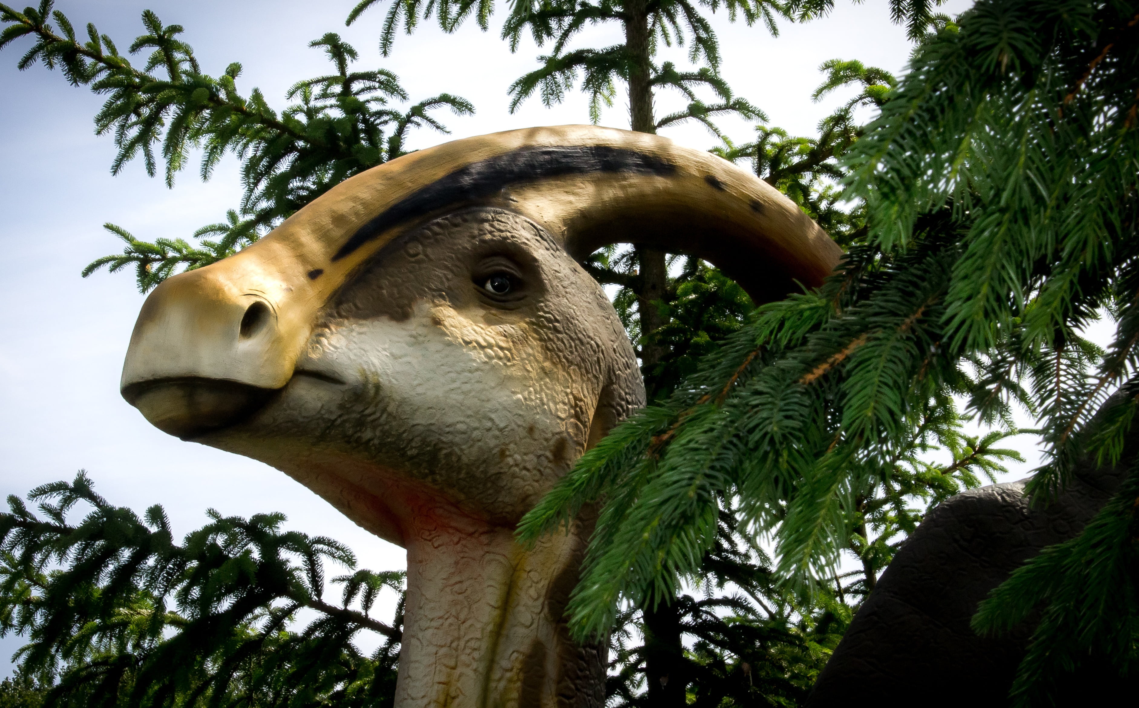 dinosaur, low angle view, prehistoric times, animal head, no people, age, extinct, one animal, tooth, branch, mammal, close-up, herbivorous, nature, animals in the wild, HD Wallpaper