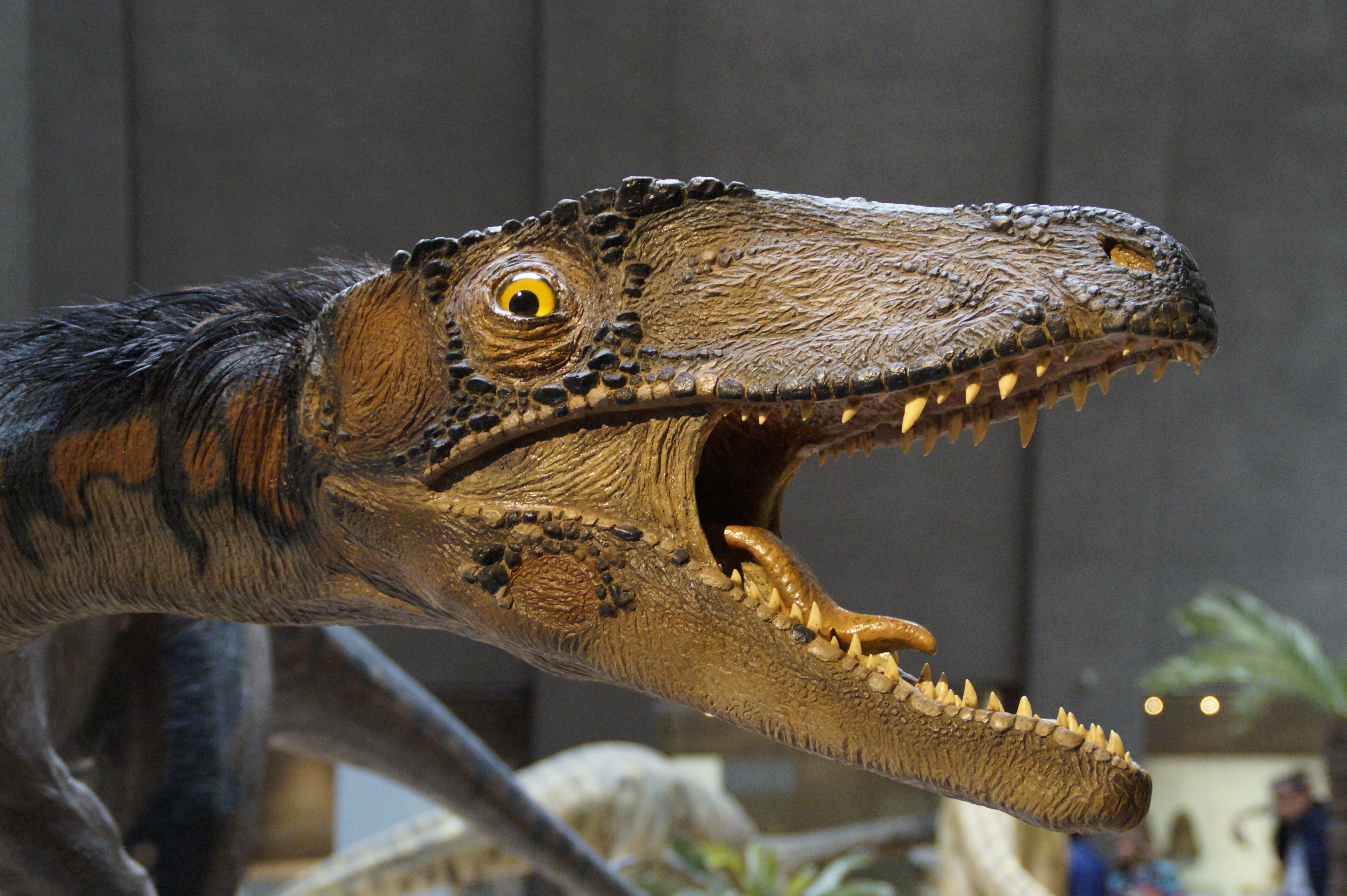 nature, dinosaur, animal scale, side view, animal wildlife, evolution, mouth open, lizard, giant lizard, mouth, animal head, vertebrate, close-up, prehistoric times, HD Wallpaper