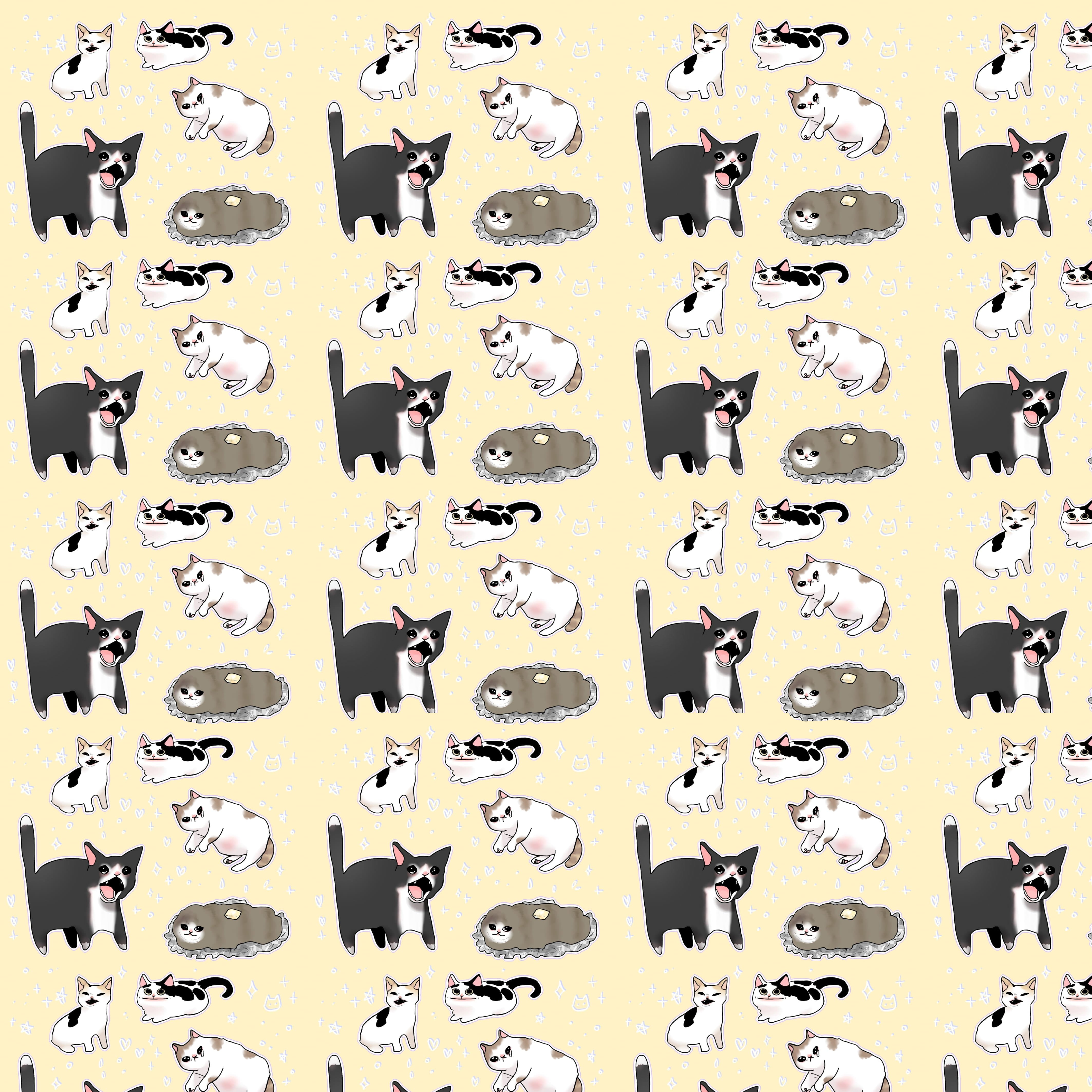 digital, humor, cats, 4K, memes, Phone HD Wallpaper