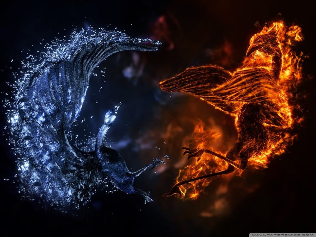 clip, illuminated, beauty in nature, geology, volcanic crater, gray, birds, long exposure, 480P, night, black background, art, sky, motion, water, exploding, HD Wallpaper