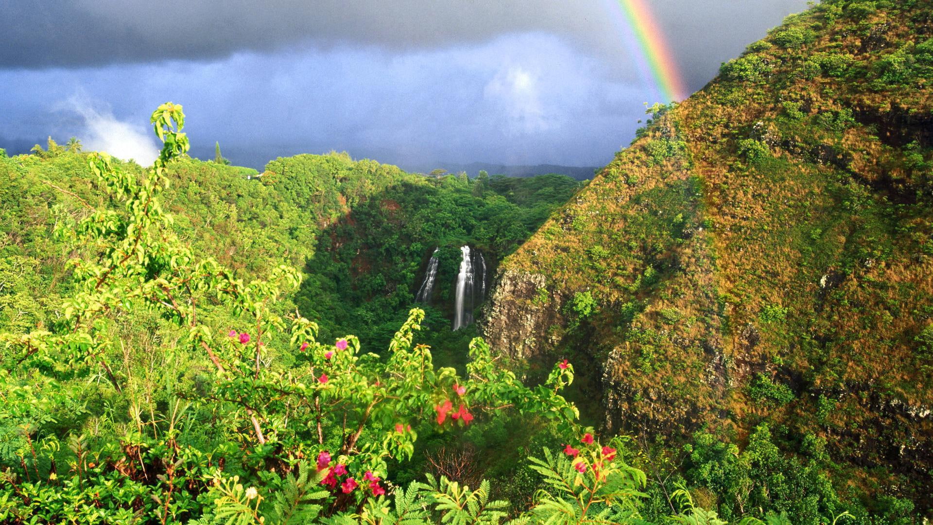 nature and landscapes, flowers, clouds, opaekaa, 1080P, forest, hawaii, rainbow, falls, HD Wallpaper