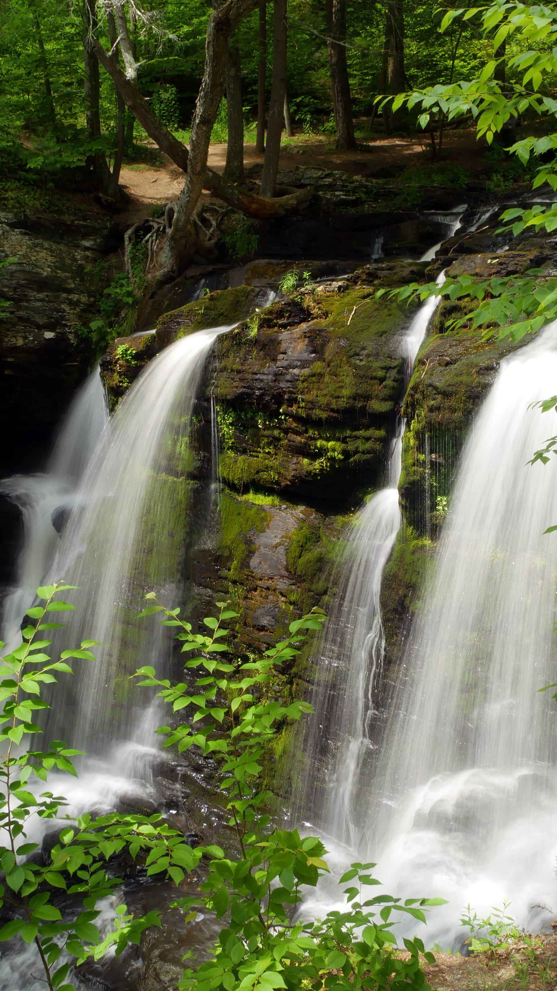 waterfall, nature pictures, beauty in nature, wild, pa, dingmans, falls, brook, slow shutter speed, summer, solid, fulmer falls, autumn, water ripple, fulmer, Phone HD Wallpaper