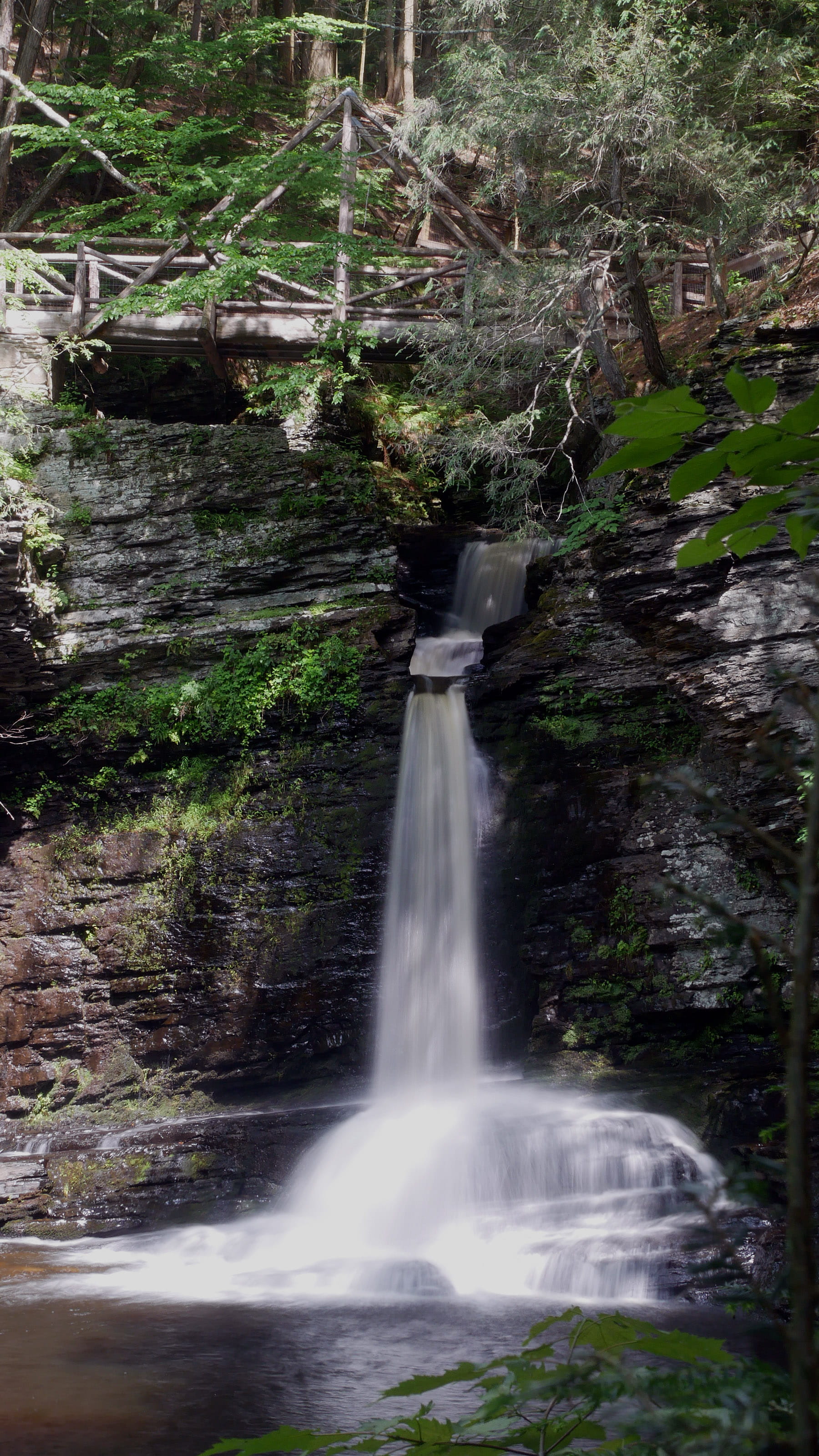 waterfall pictures, day, forest, waterfall, 2K, recreation, leaves, delaware township, summer, waterfall images, environment, water, falls, rainforest, Phone HD Wallpaper