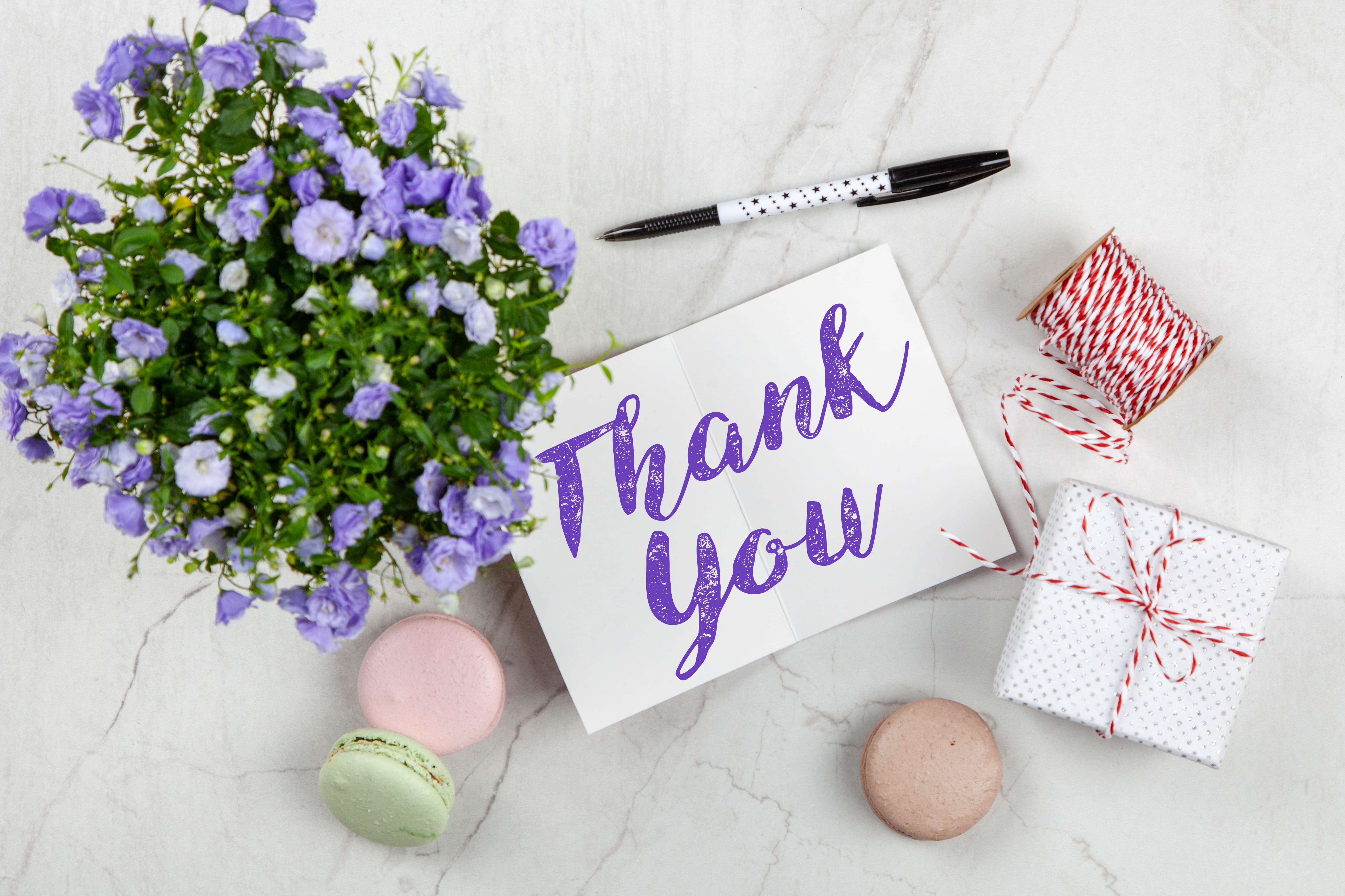 communication, petaled, writing, thank, greeting, card, thread, gift, love, food, thank you, white background, high angle view, violet, You, handmade, purple, HD Wallpaper