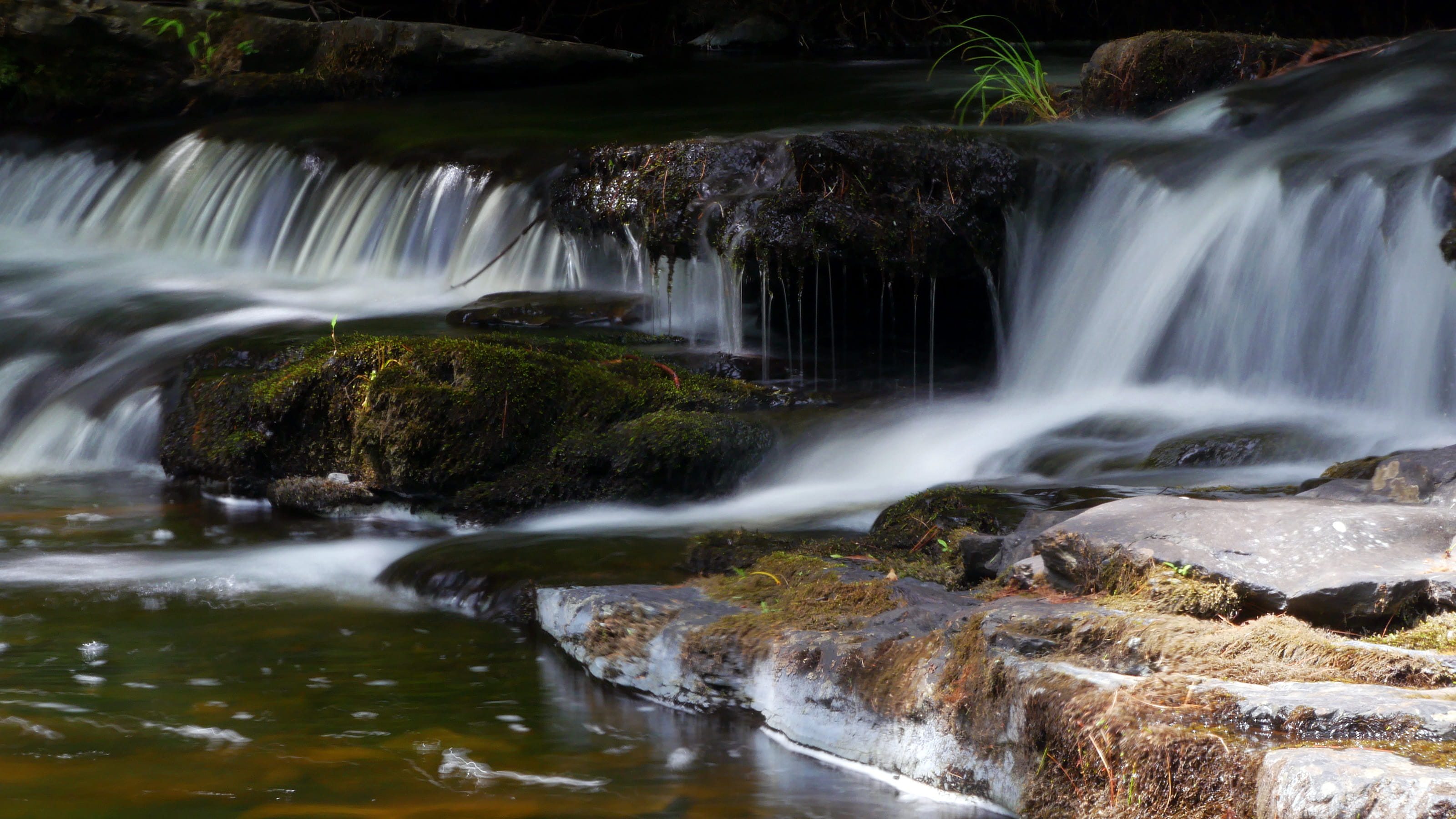 w, waterfall, pictures of waterfalls, flowing water, wild, travel destinations, milky, water ripple, rock, clean, forest, creek, fulmer falls, fall colors, HD Wallpaper