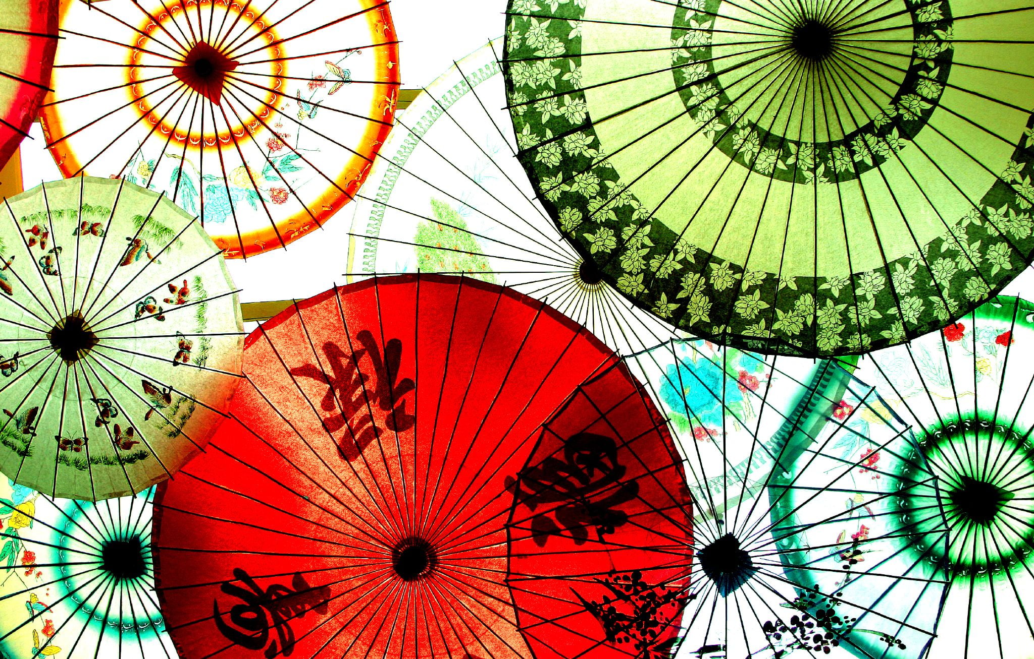 Saved, paper, Kra, f350, c75, kanji, spotlight, floral, All Seasons, c50, 1080P, f500, f300, Delete, United States of America, f25, group, color, umbrella, HD Wallpaper