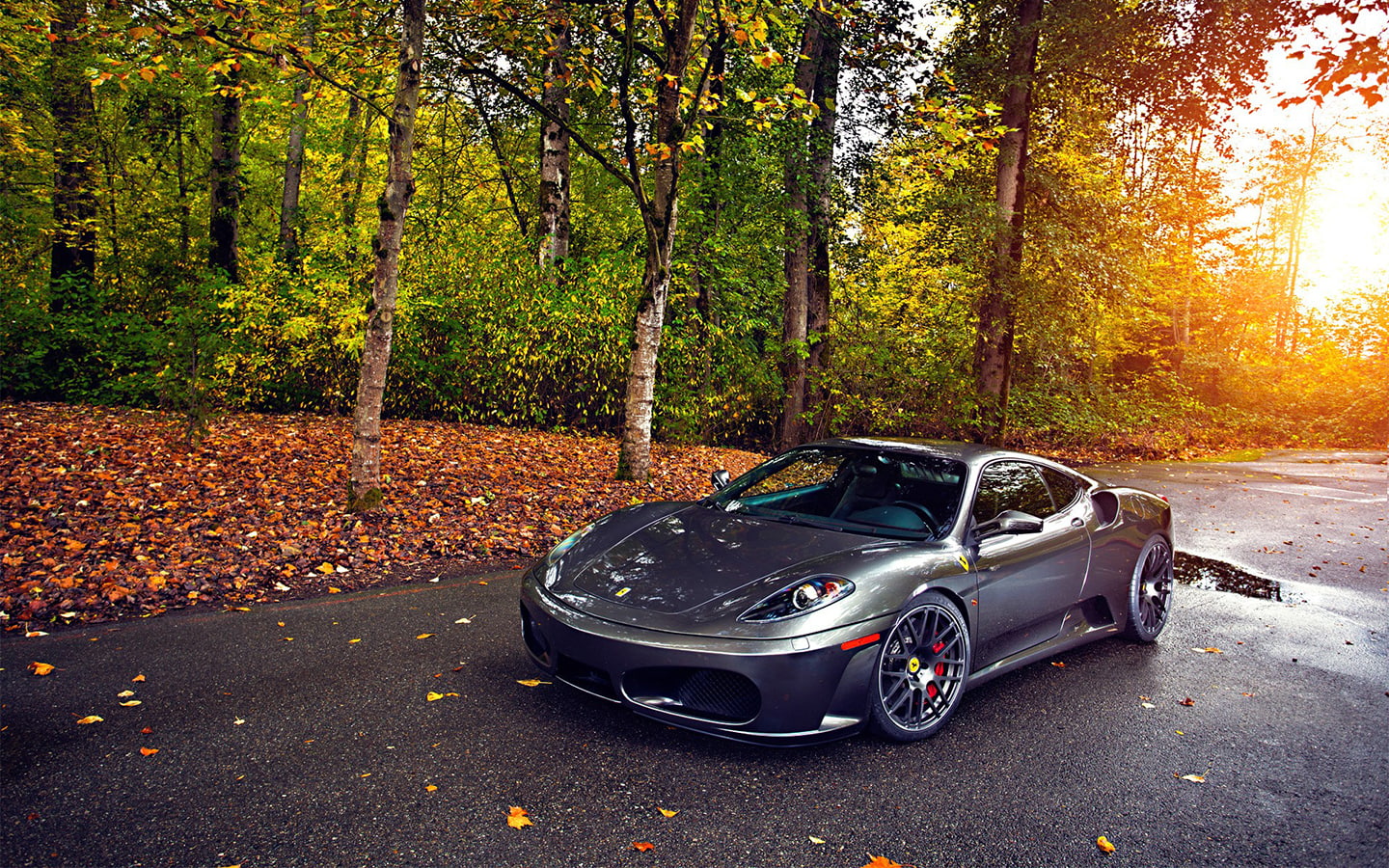 f430, trees, 720P, sunlight, grey, hd, ferrari, cars, f, HD Wallpaper