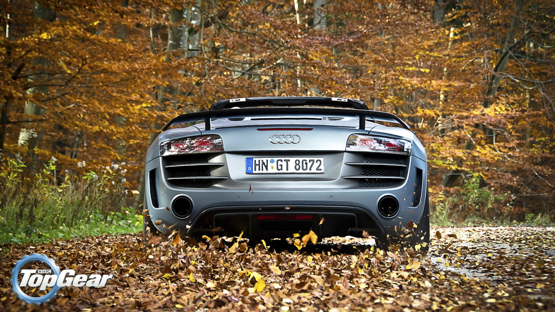 leaves, 1080P, motor vehicle, plant, tree, plant part, land, outdoors, gray, car, Audi R8, dry, leaf, forest, nature, Audi, field, vehicle, day, land vehicle, HD Wallpaper