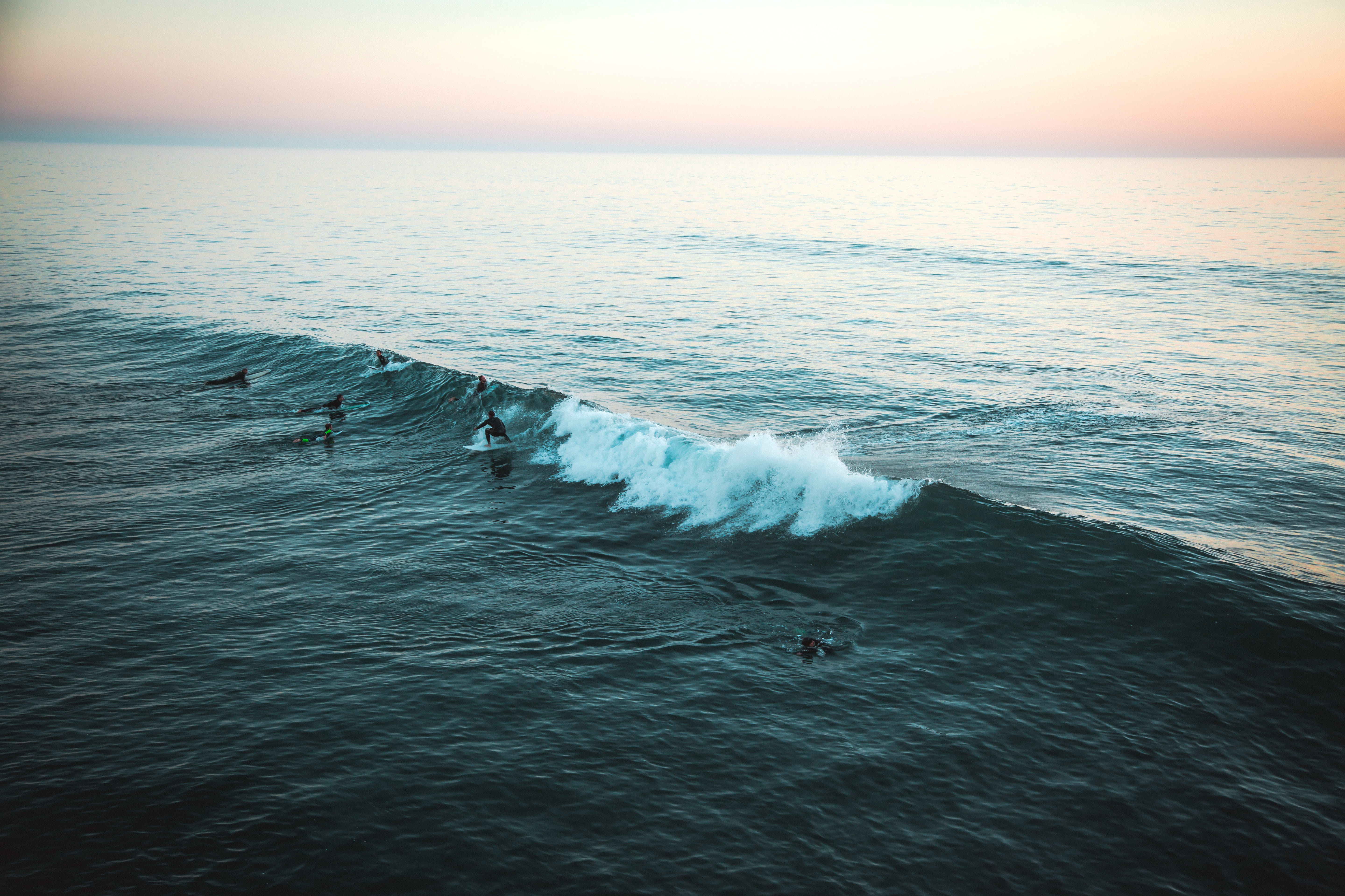 computer backgrounds, bird, tranquility, sea, high angle view, animals in the wild, no people, motion, outdoors, hd backgrounds, sea waves,, HD Wallpaper