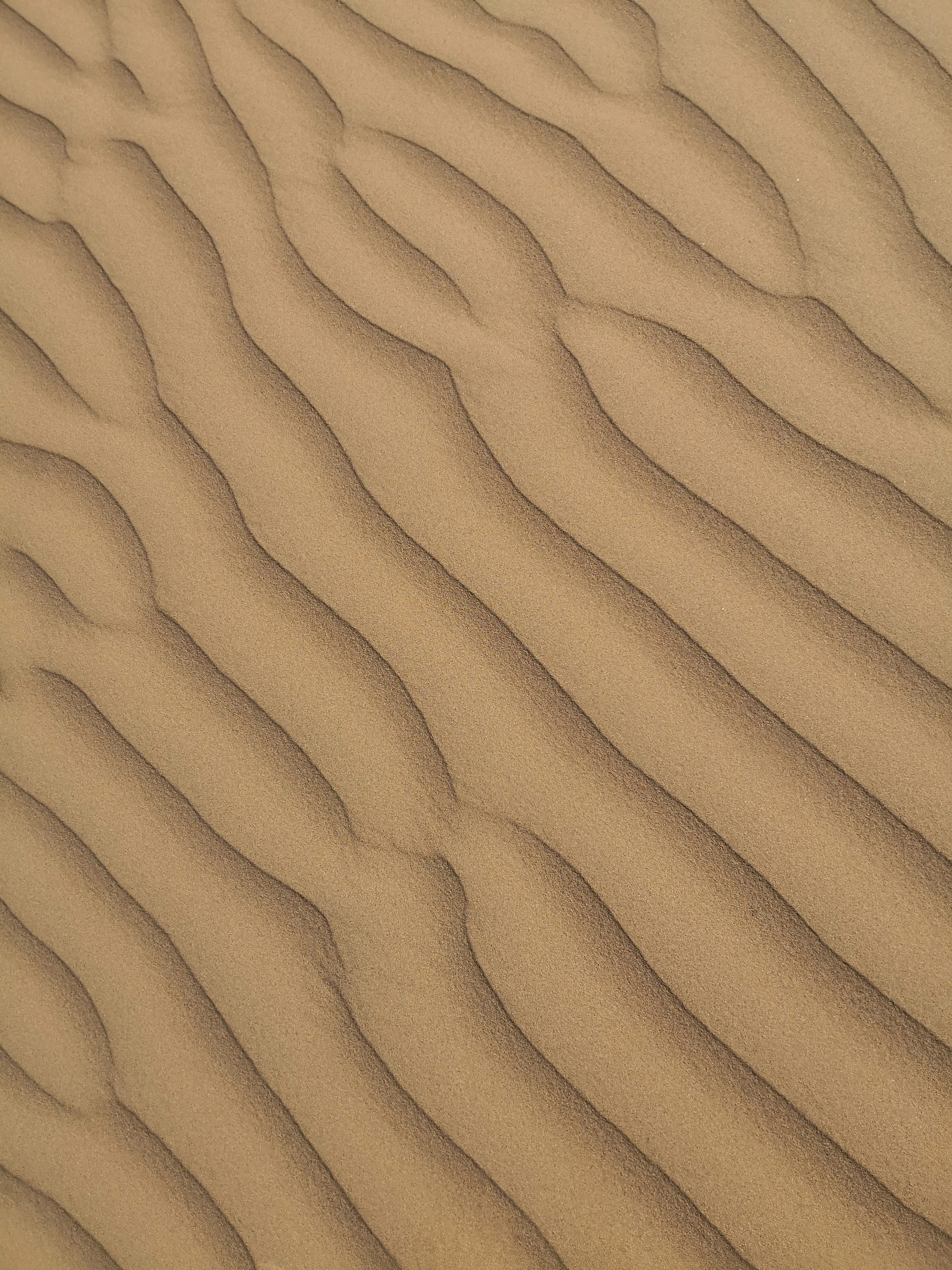 textile, wood - material, iran, khaki, arid climate, wood, no people, close-up, hd backgrounds, natural pattern, 5K, brown, pattern, tabas, full frame, Phone HD Wallpaper