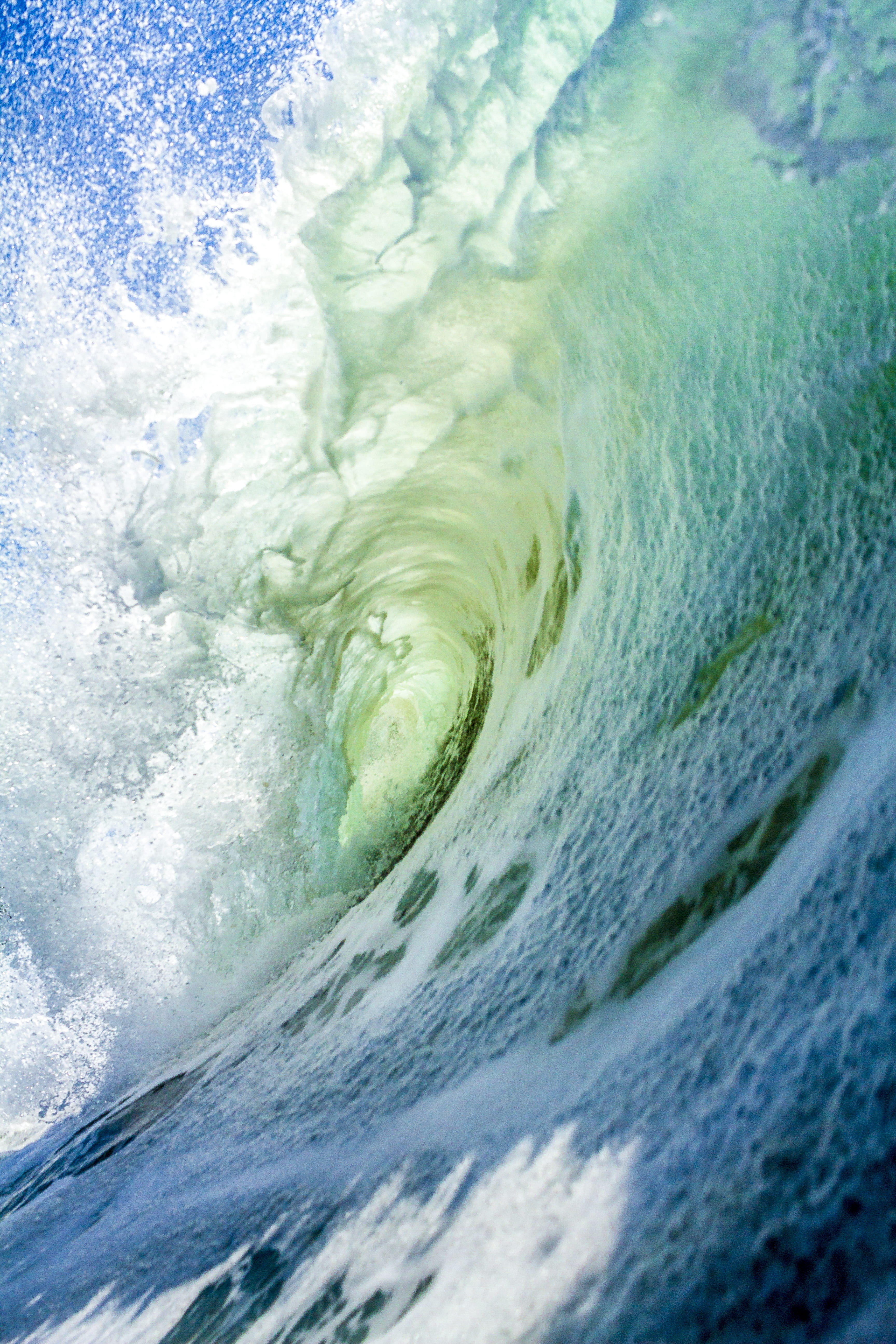 motion, tsunami, waterfront, waves, surfing, computer backgrounds, animal, bear, ocean, force, 5K, cool backgrounds, water, hd backgrounds, mammal, aquatic sport, Phone HD Wallpaper
