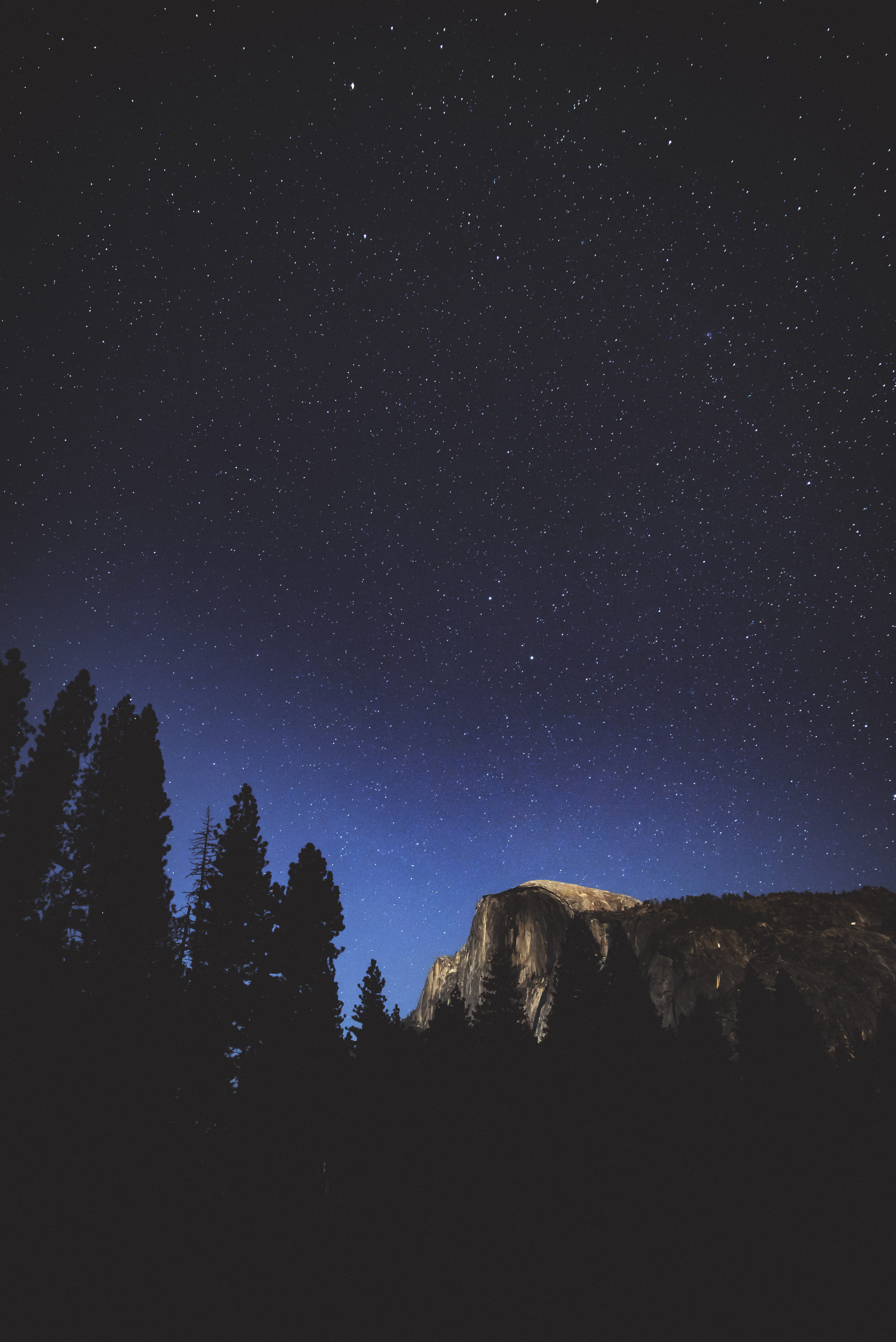 wallpapers, tranquility, rock, plant, scenics - nature, star - space, idyllic, hd, star, backgrounds, no people, silhouette, space, universe, Phone HD Wallpaper