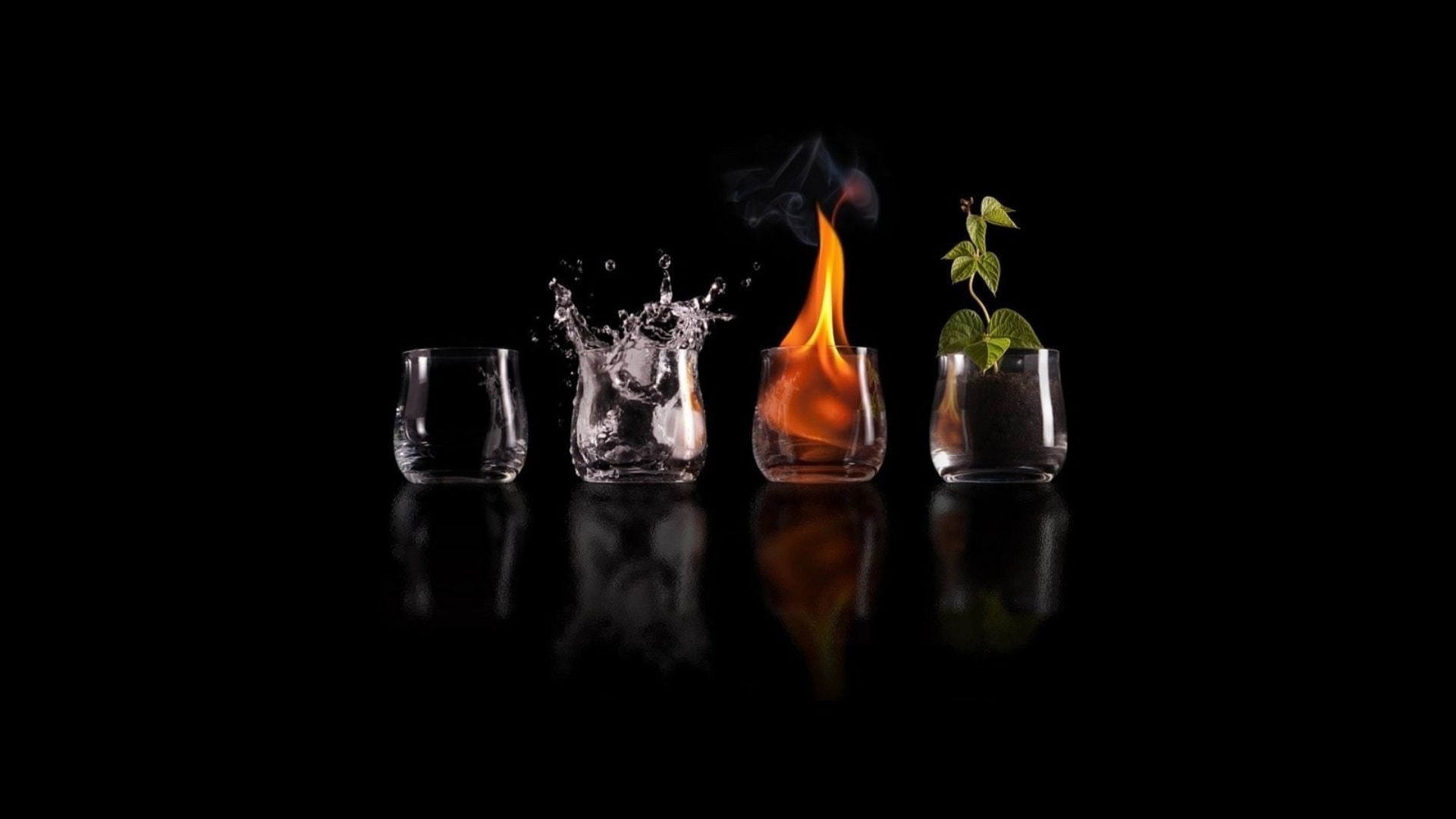 in a row, drinking glass, copy space, studio shot, black background, drink, 1080P, no people, nature, transparent, alcohol, freshness, indoors, food and drink, HD Wallpaper