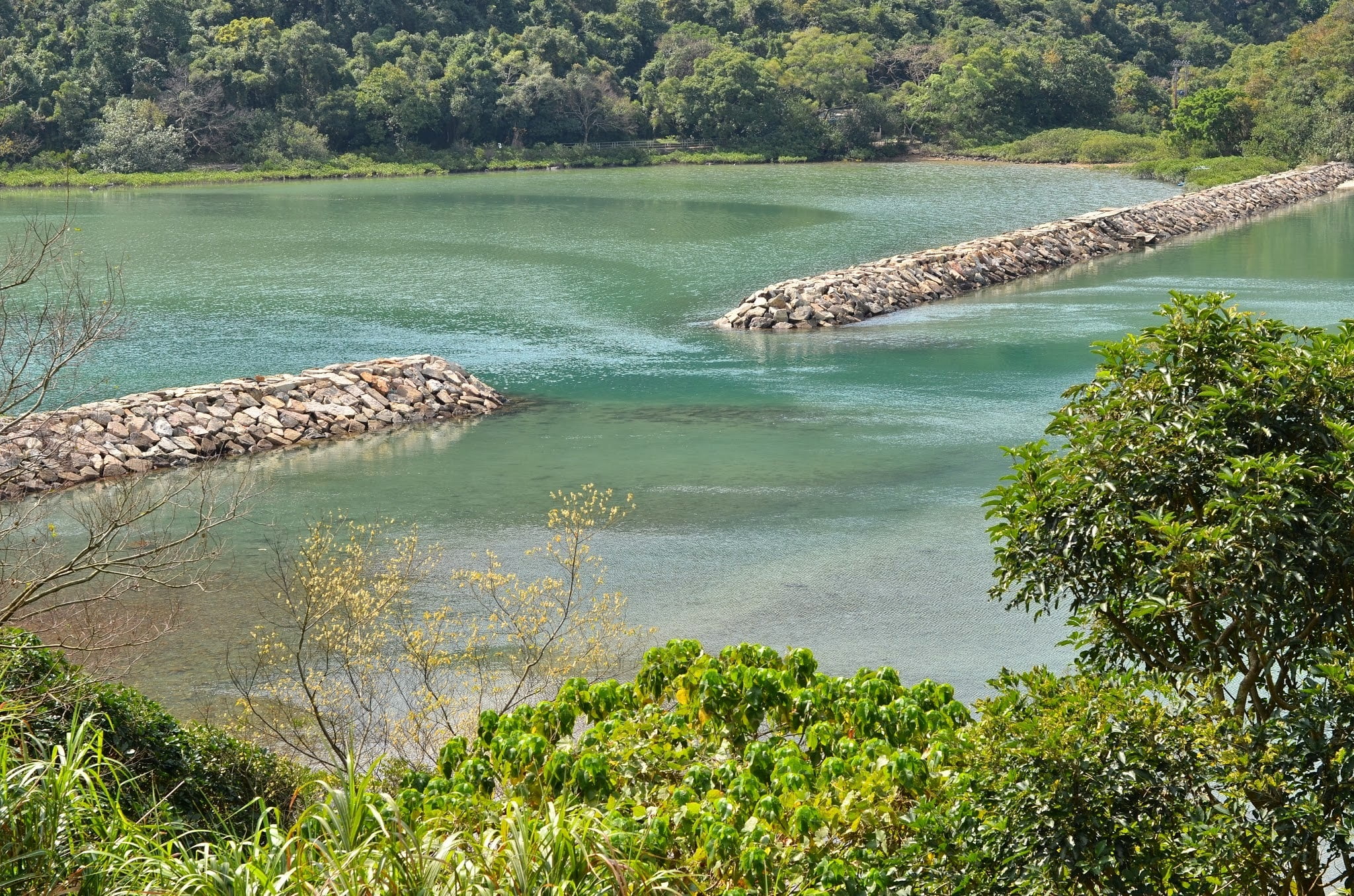 village, outdoors, beauty in nature, growth, sai kung, tranquility, bridge, nature, 1080P, green color, yung shue, scenics - nature, artist bong shing, HD Wallpaper