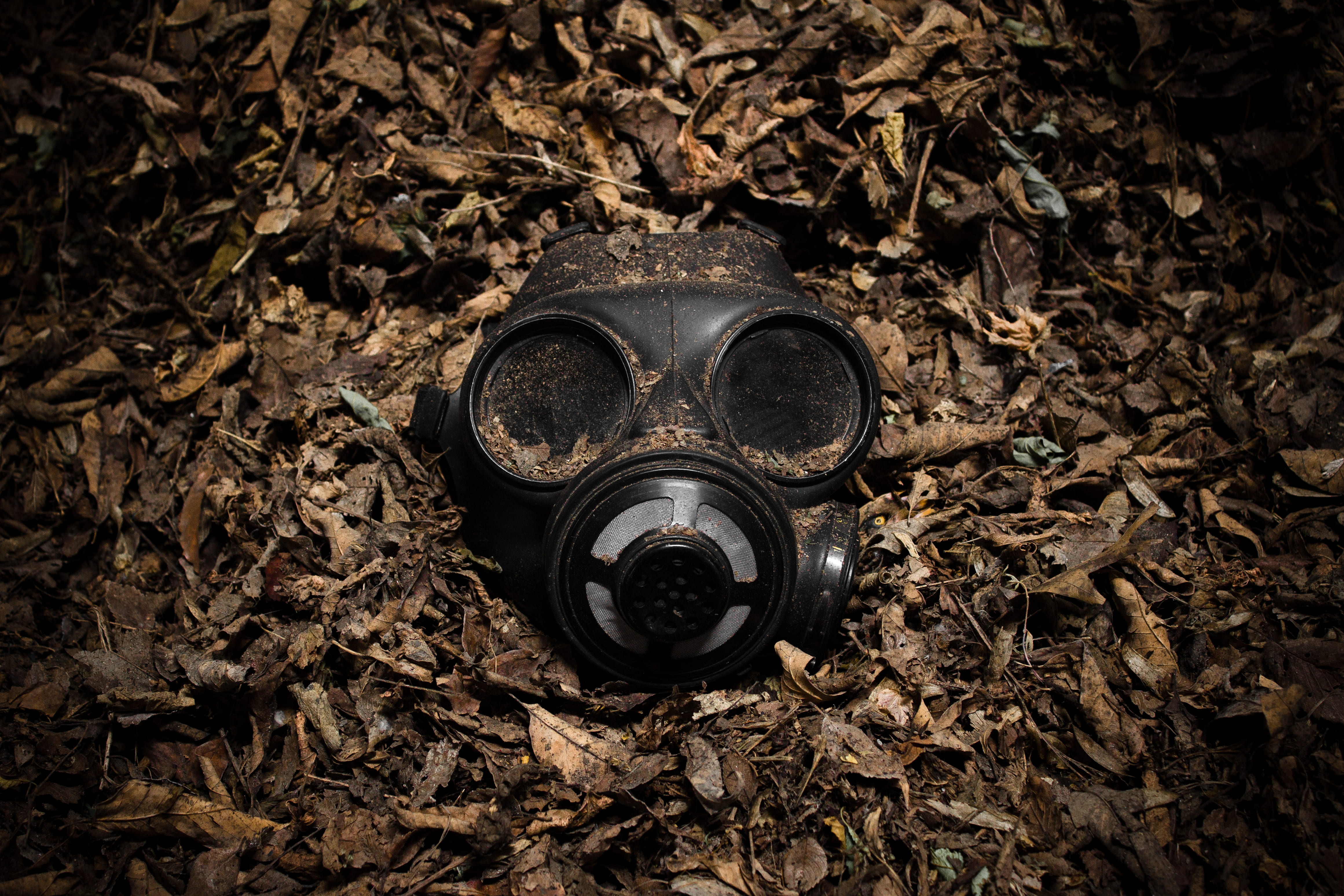 dirty, black, ga, field, outdoors, grunge, security, creepy, gasmask, protection, safety, old, close-up, bong, dark, abandoned, leaves, environmental issues, HD Wallpaper