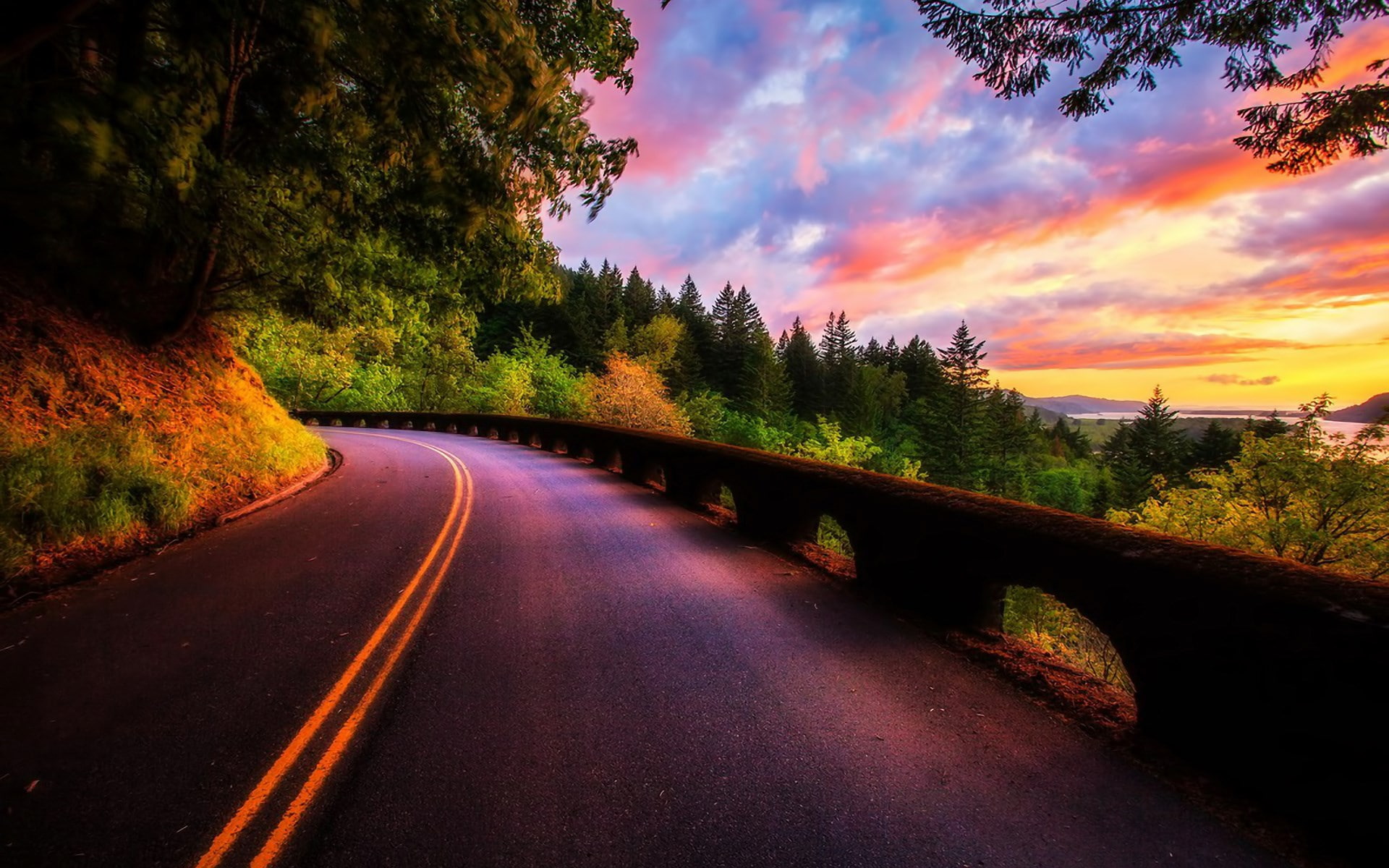 scenics - nature, tree, the way forward, tranquility, outdoors, no people, plant, diminishing perspective, sunset, 1080P, road, tranquil scene, non-urban scene, HD Wallpaper