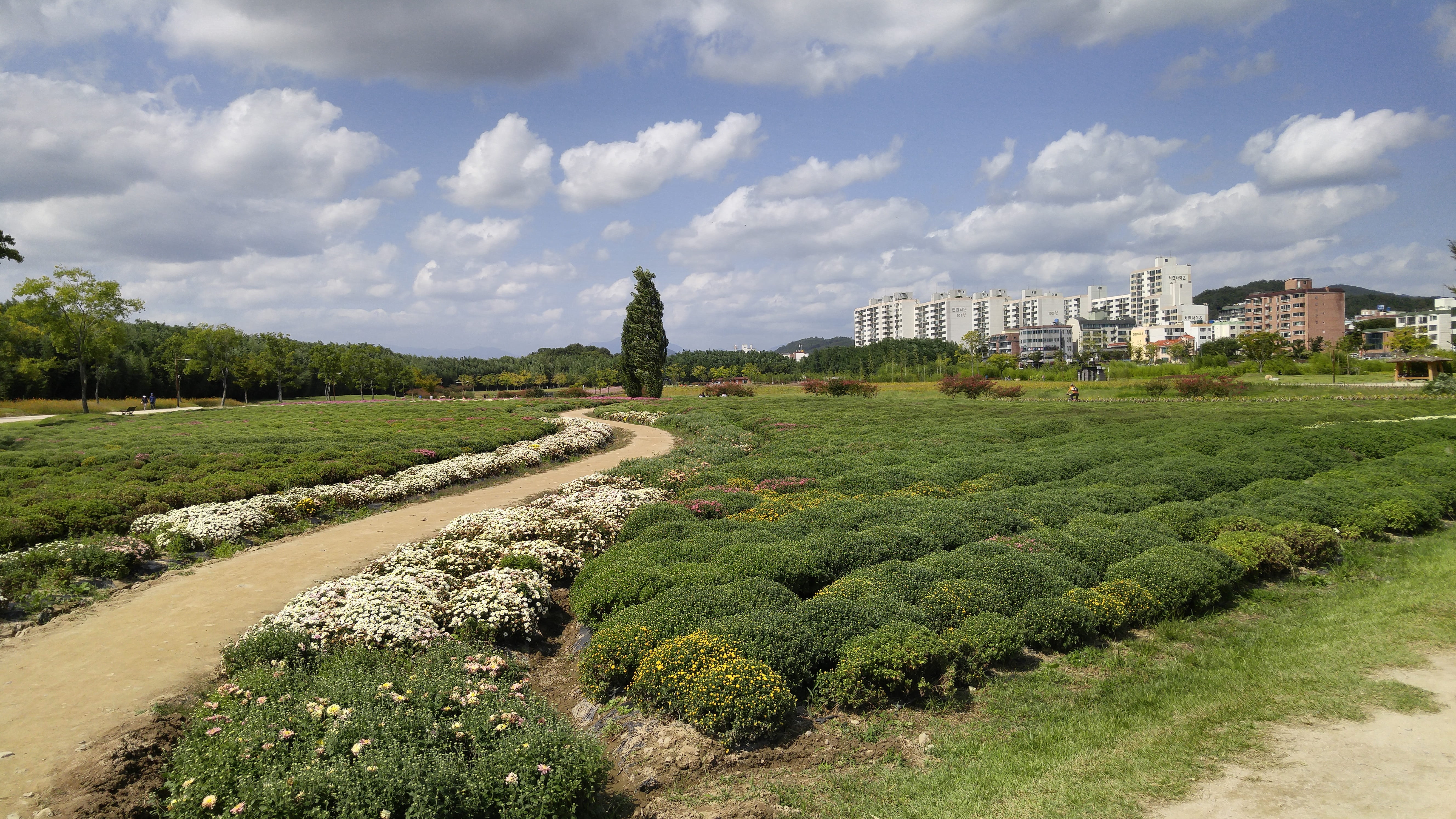 land, city, architecture, 5K, no people, sky, built structure, ulsan, grass, cloud - sky, green color, hedge, yang won-jin, building exterior, nature, HD Wallpaper