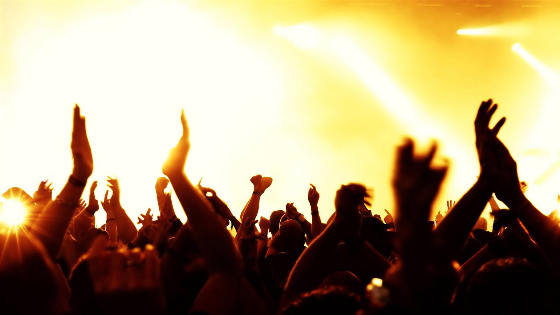 light, fans, concert, music, applauding, 1080P, HD Wallpaper