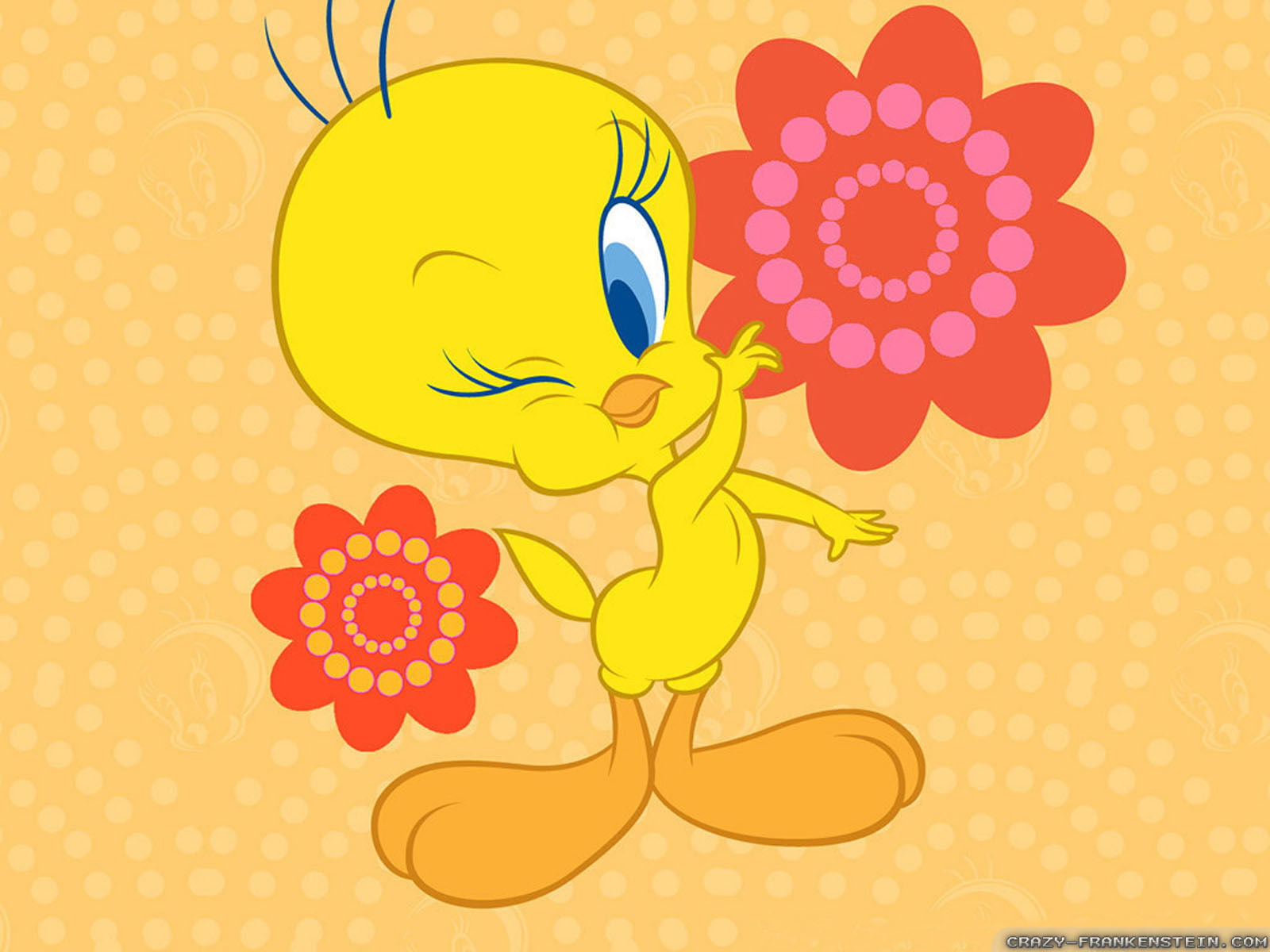 720P, tunes, looney, tweety, HD Wallpaper