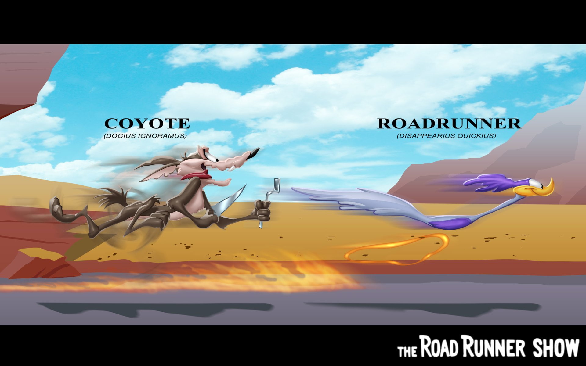 Looney Tunes, 1080P, Wile E. Coyote and The Road Runner, TV Show, HD Wallpaper