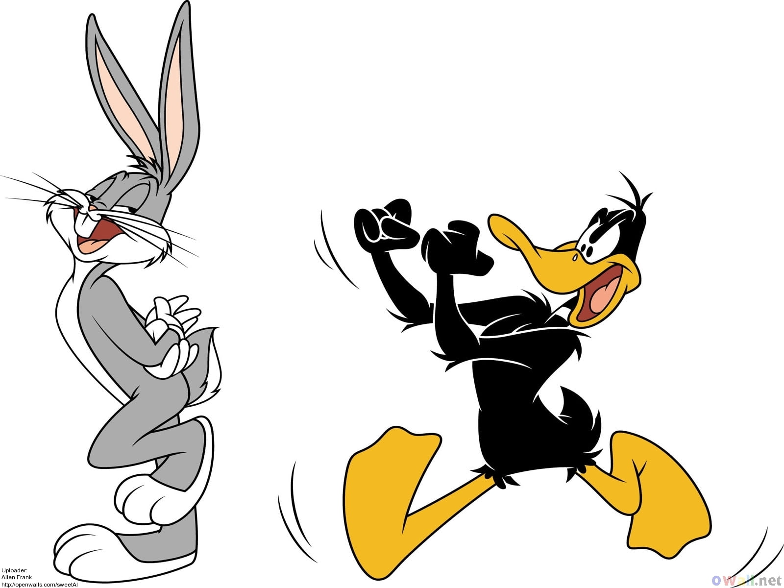daffy, 720P, looney, toons, bunny, bugs, HD Wallpaper