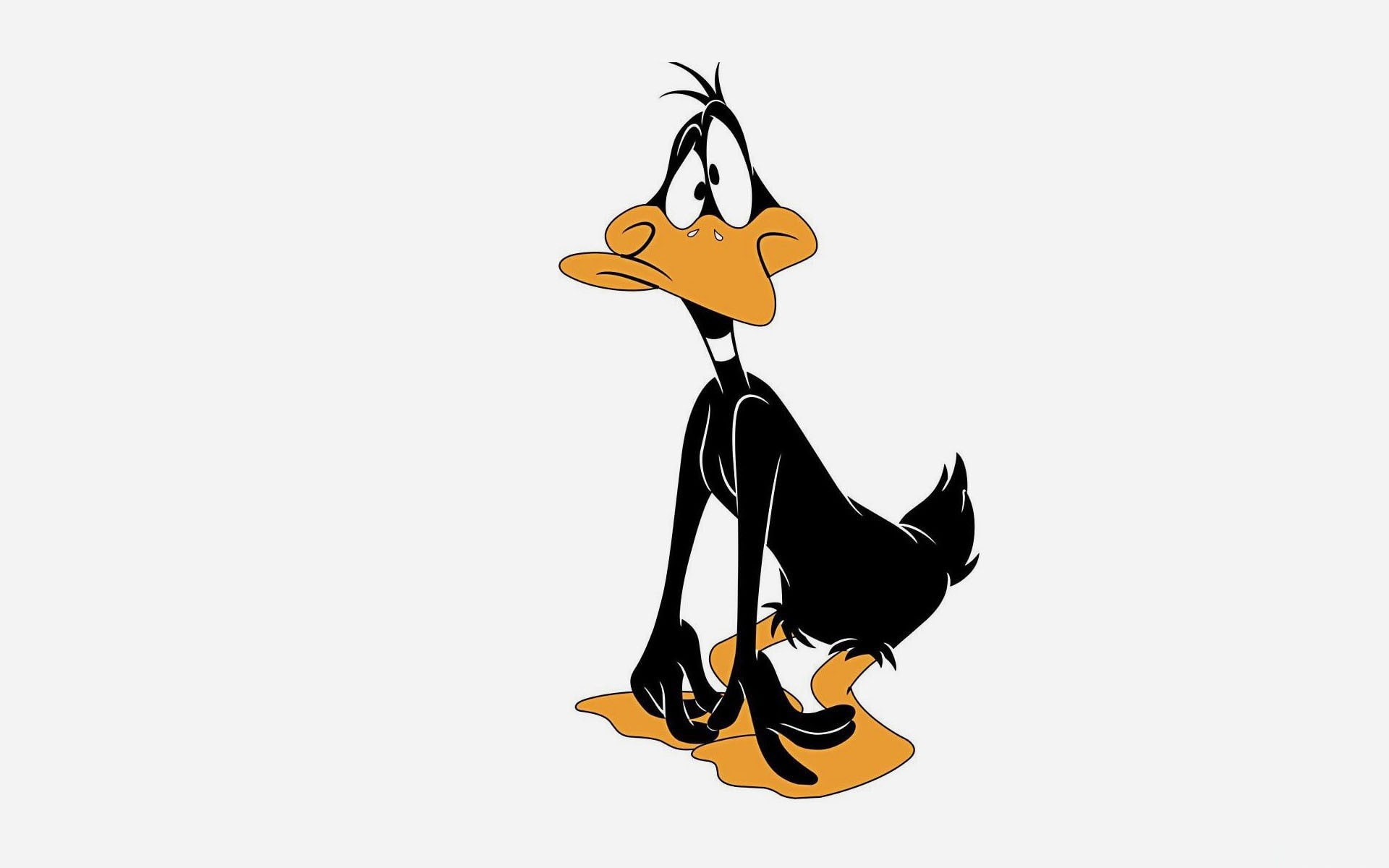 cut out, Daffy duck, copy space, animal themes, no people, music, one animal, shoe, high heels, Looney tunes, full length, animal, domestic animals, 1080P, HD Wallpaper