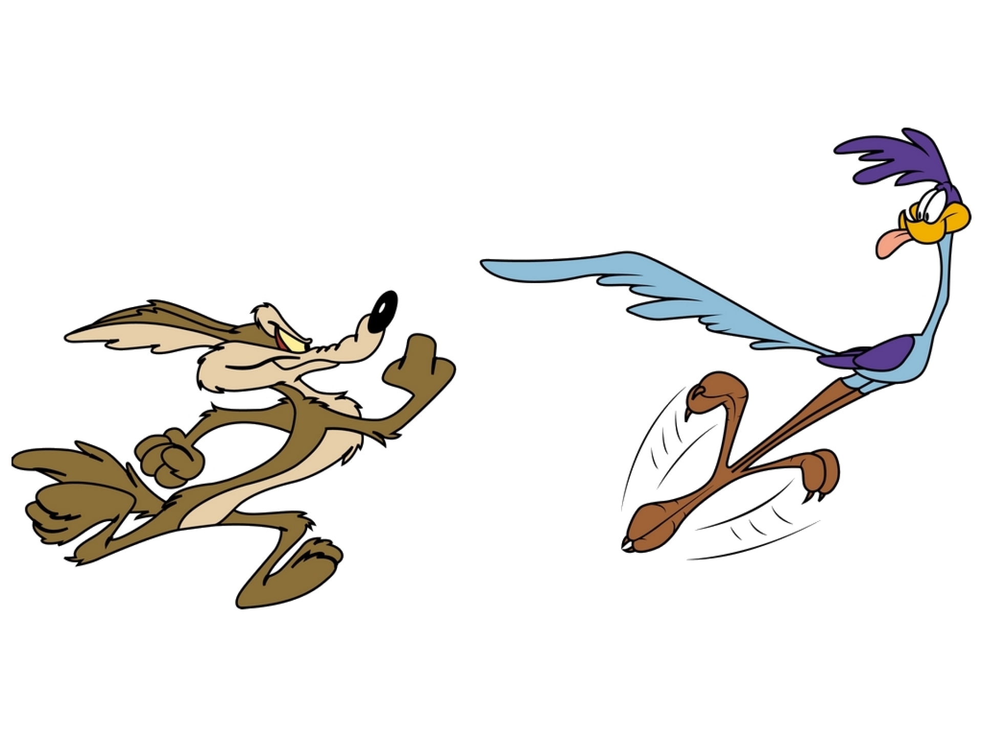 coyote, runner, 1080P, looney, road, wile, HD Wallpaper