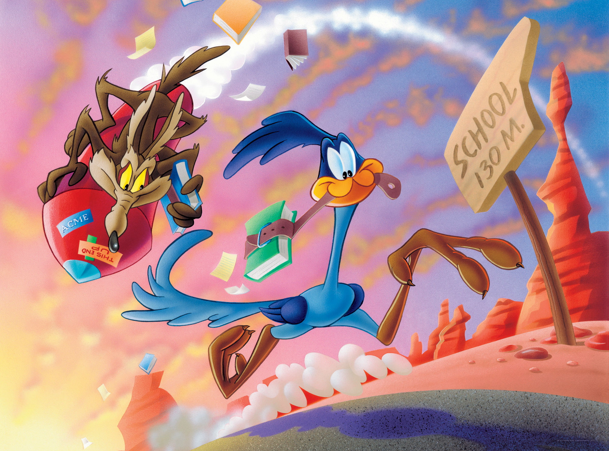 1080P, wile, coyote, rod, looney, runner, HD Wallpaper