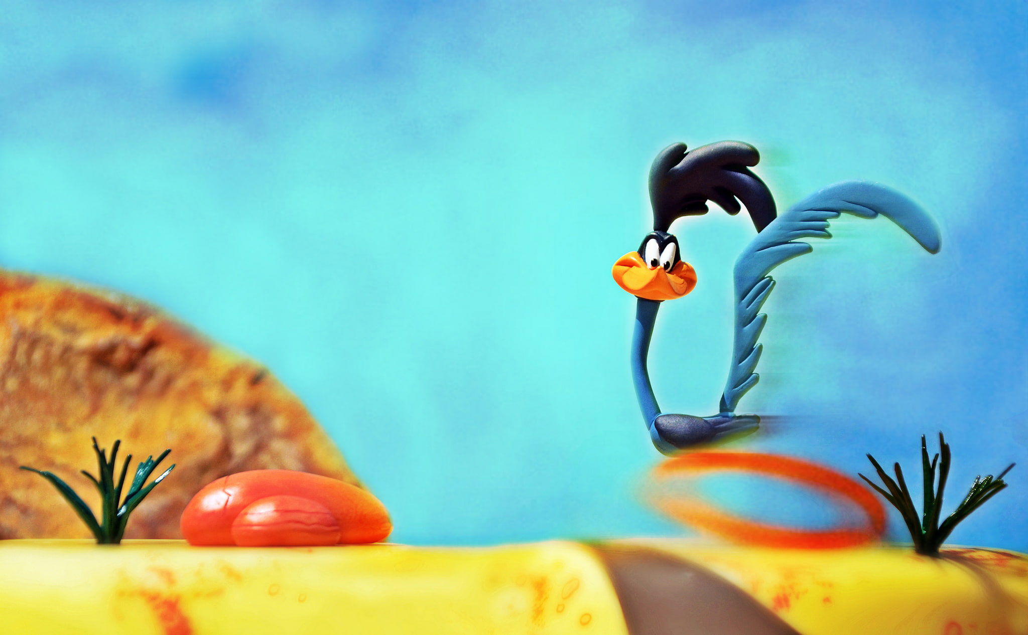 road, the bushes, 1080P, Looney Tunes, stones, Road Runner, running, desert, the sky, HD Wallpaper
