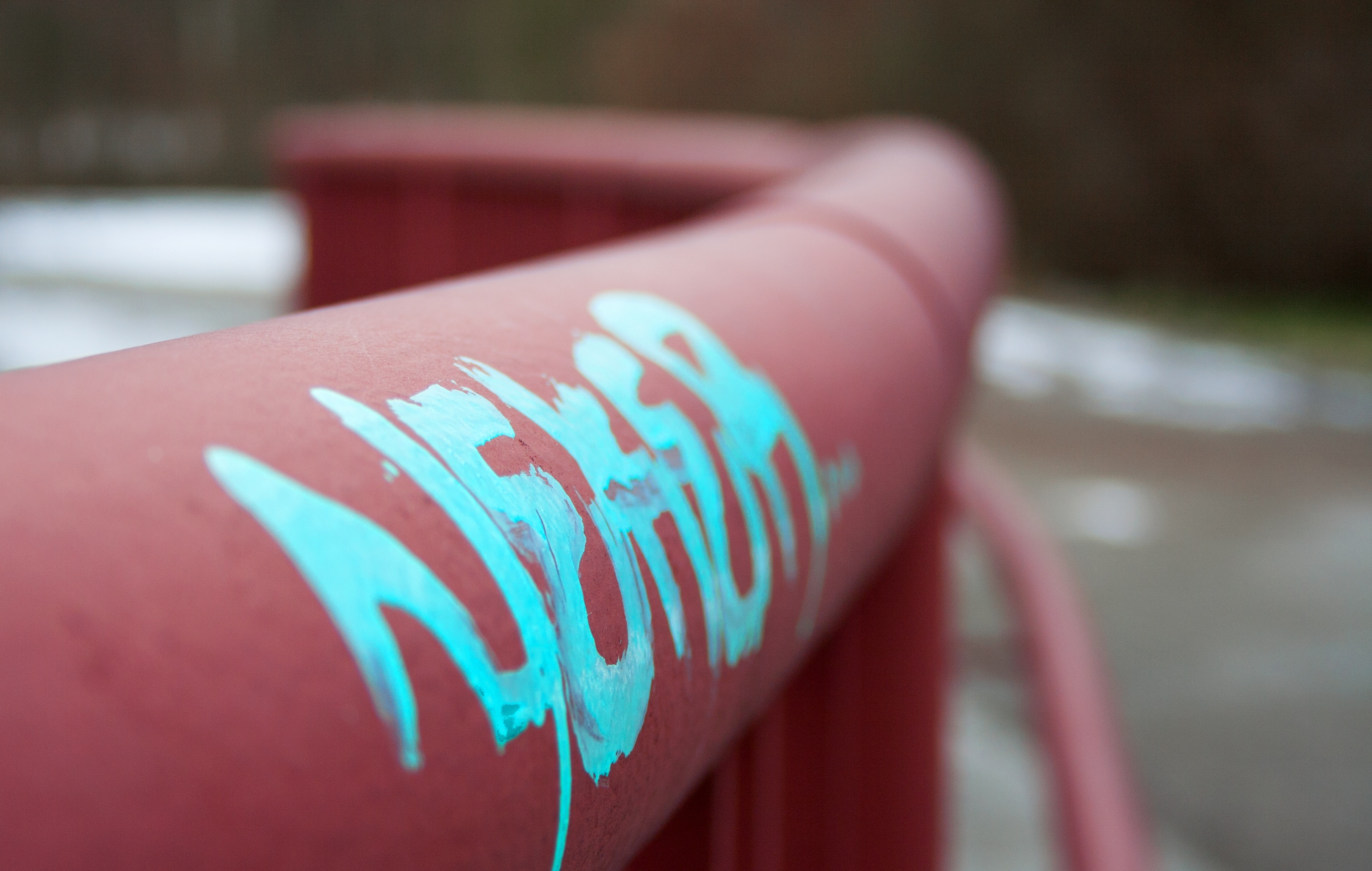 2K, art, training, grow, education, graffiti, colorful, word, swimming pool, color, western script, close-up, skills, human Leg, human limb, park - man made space, HD Wallpaper