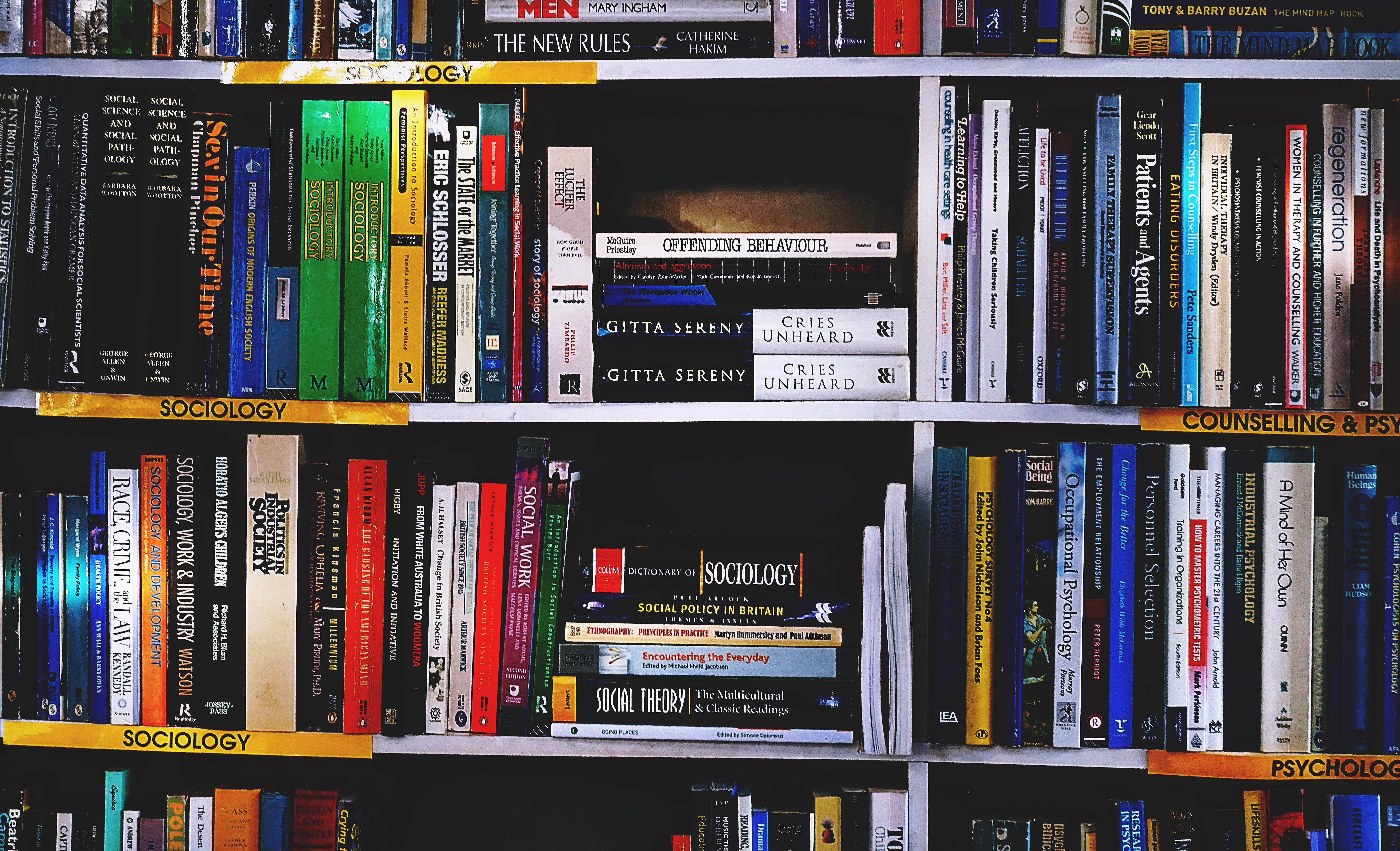 abundance, education, book, literature, sunlight, bookshelves, in a row, bookshelf, variation, shelf, choice, still life, publication, bookshop, indoors, HD Wallpaper