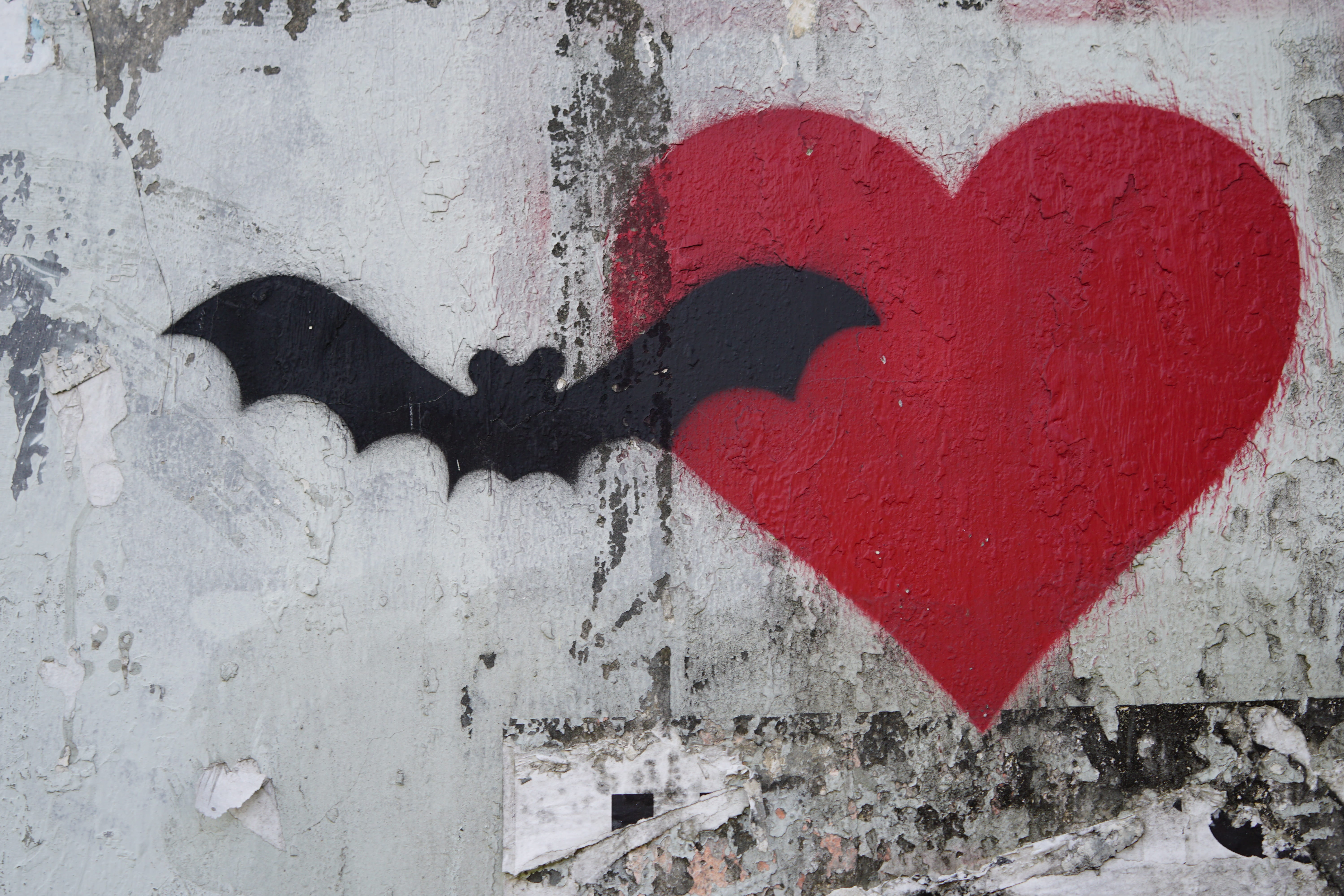 bat, textured, painting, white color, bali, no people, mold, built structure, heart, concrete, architecture, wall, design, white, prison, outdoors, emotion, HD Wallpaper