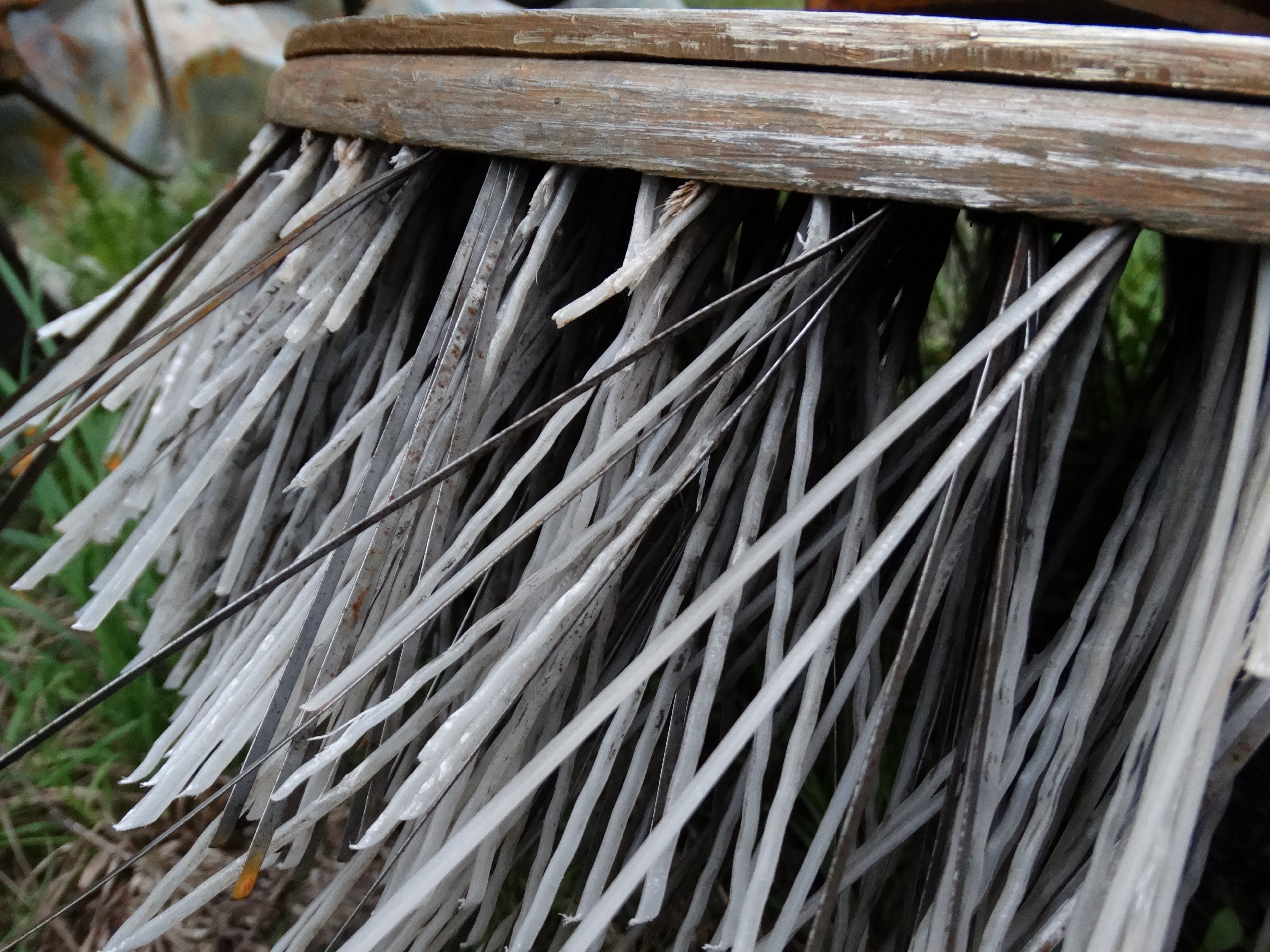 close-up, pattern, outdoors, plant part, selective focus, day, nature, metal, street care, beauty in nature, tranquility, 5K, steel, plant, palm leaf, HD Wallpaper