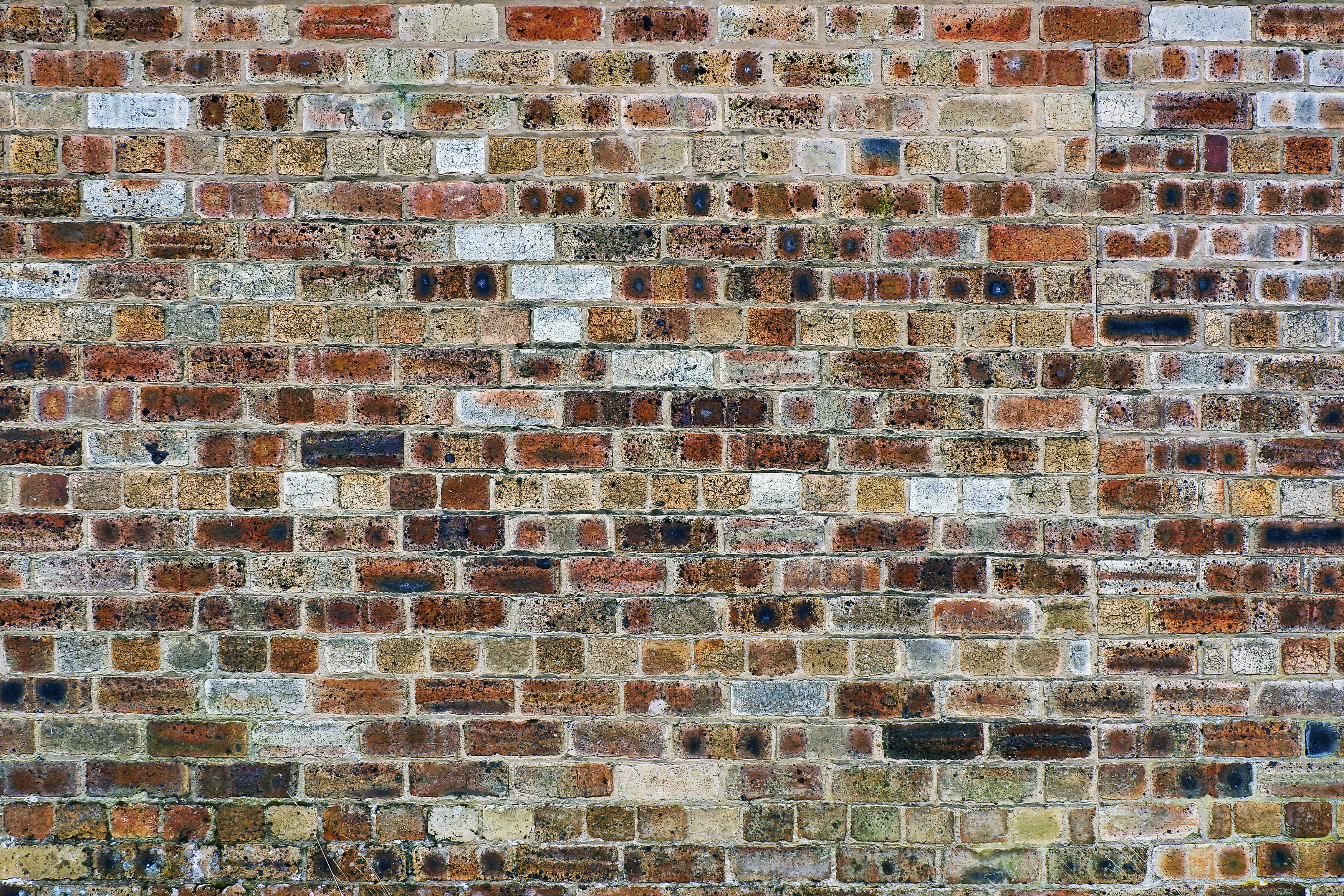 wall, backgrounds, moss, black, low angle view, full frame, textured, stone material, building, pavement, brick wall, brick, face, stone wall, outdoors, HD Wallpaper