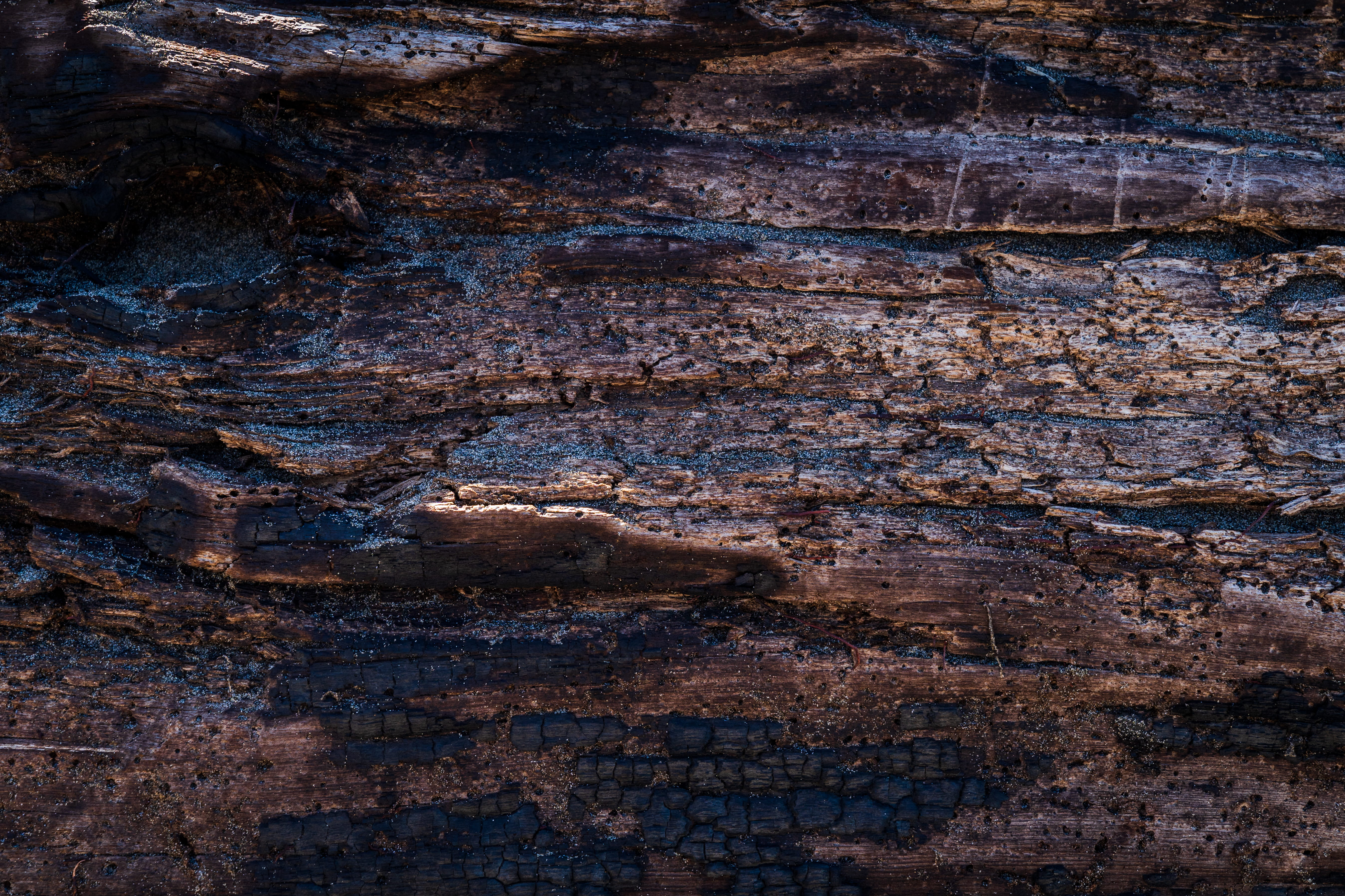 history, tree trunk, nature, tar, tree, hardwood, old, textured surface, cliff, scenery, eroded, slate, landscape, rock formation, layered, no people, texture, HD Wallpaper