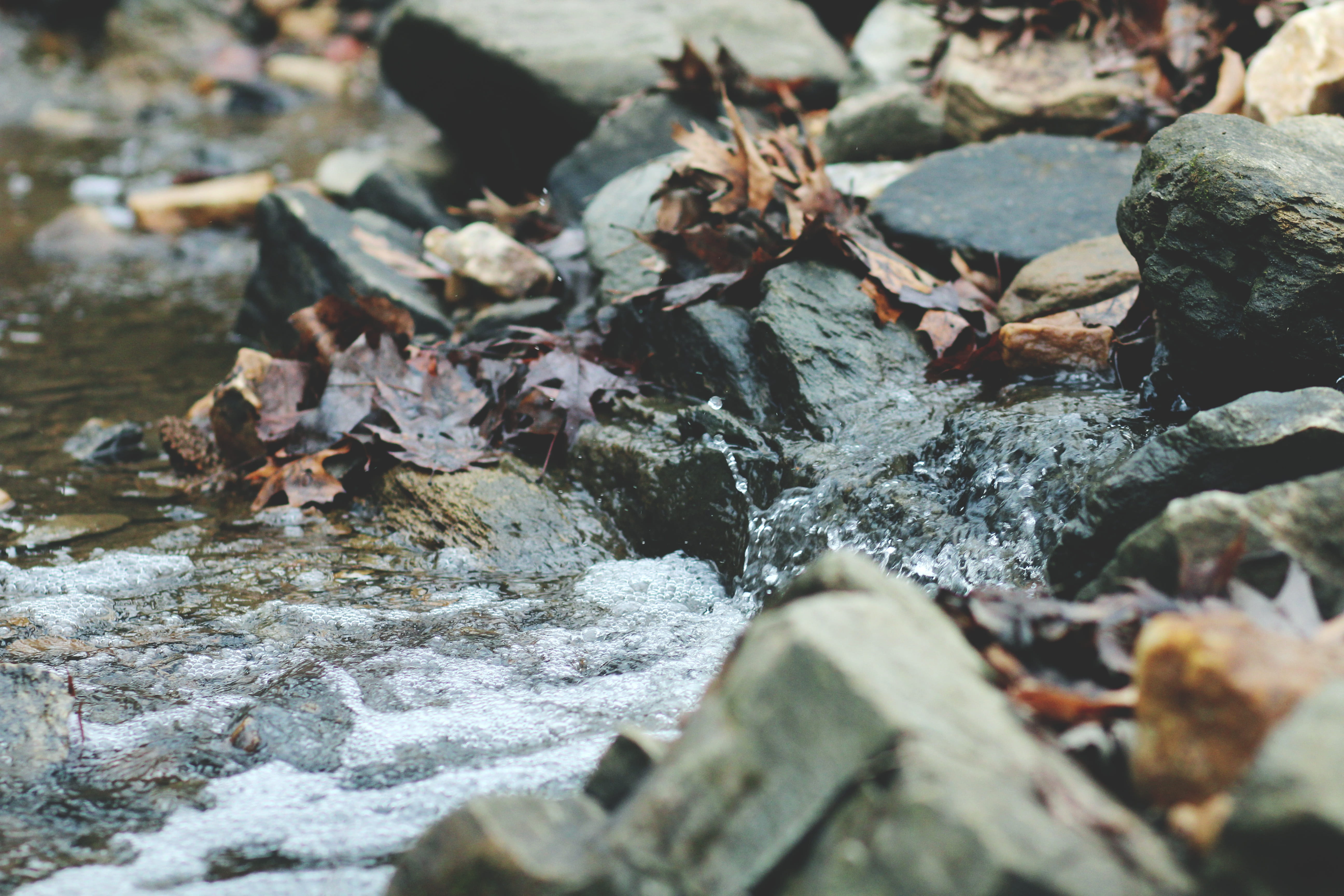 rocks, day, peace, naturephotography, land, falling, plant part, person, solid, peacelikeariver, wildlife, no people, flowing water, stream, rock - object, HD Wallpaper