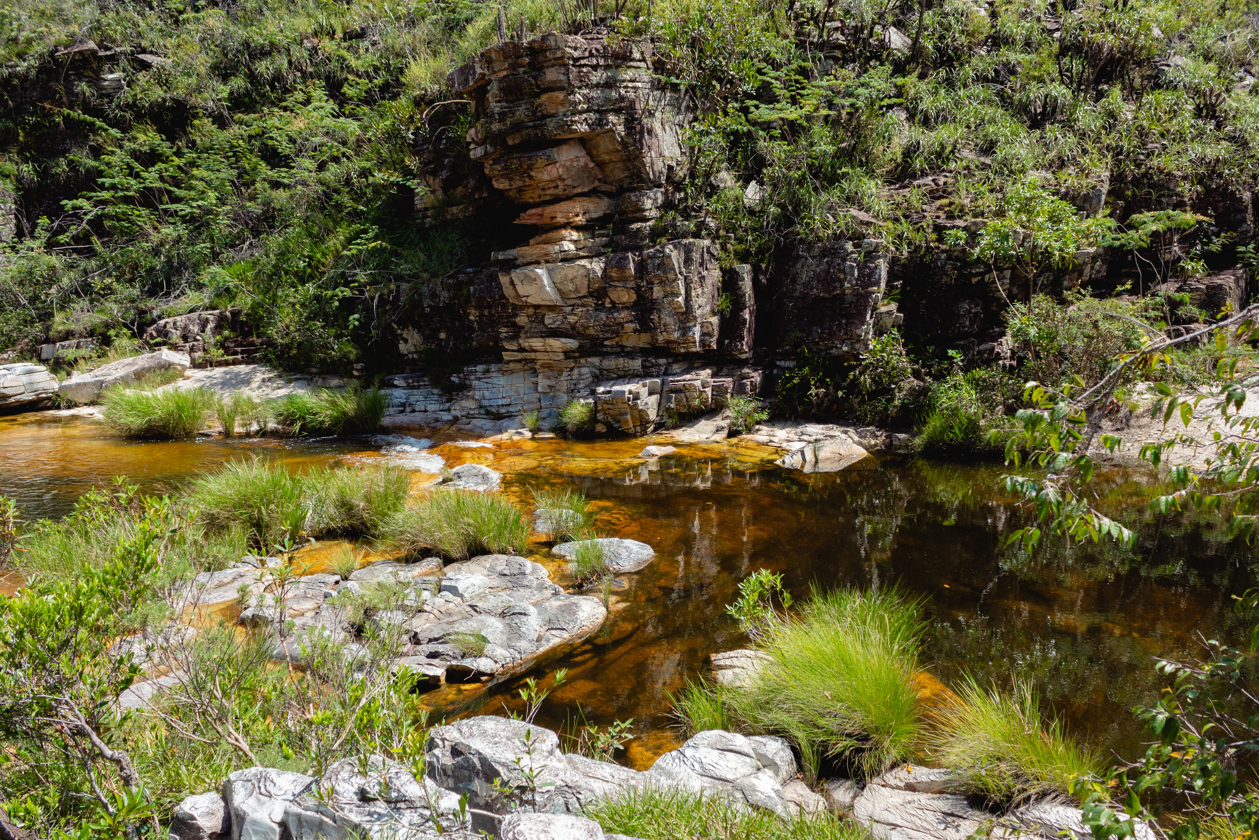 rubble, marsh, wilderness, scenics - nature, slate, creek, non-urban scene, nature, forest, bog, beauty in nature, 4K, river, tranquility, cliff, swamp, HD Wallpaper